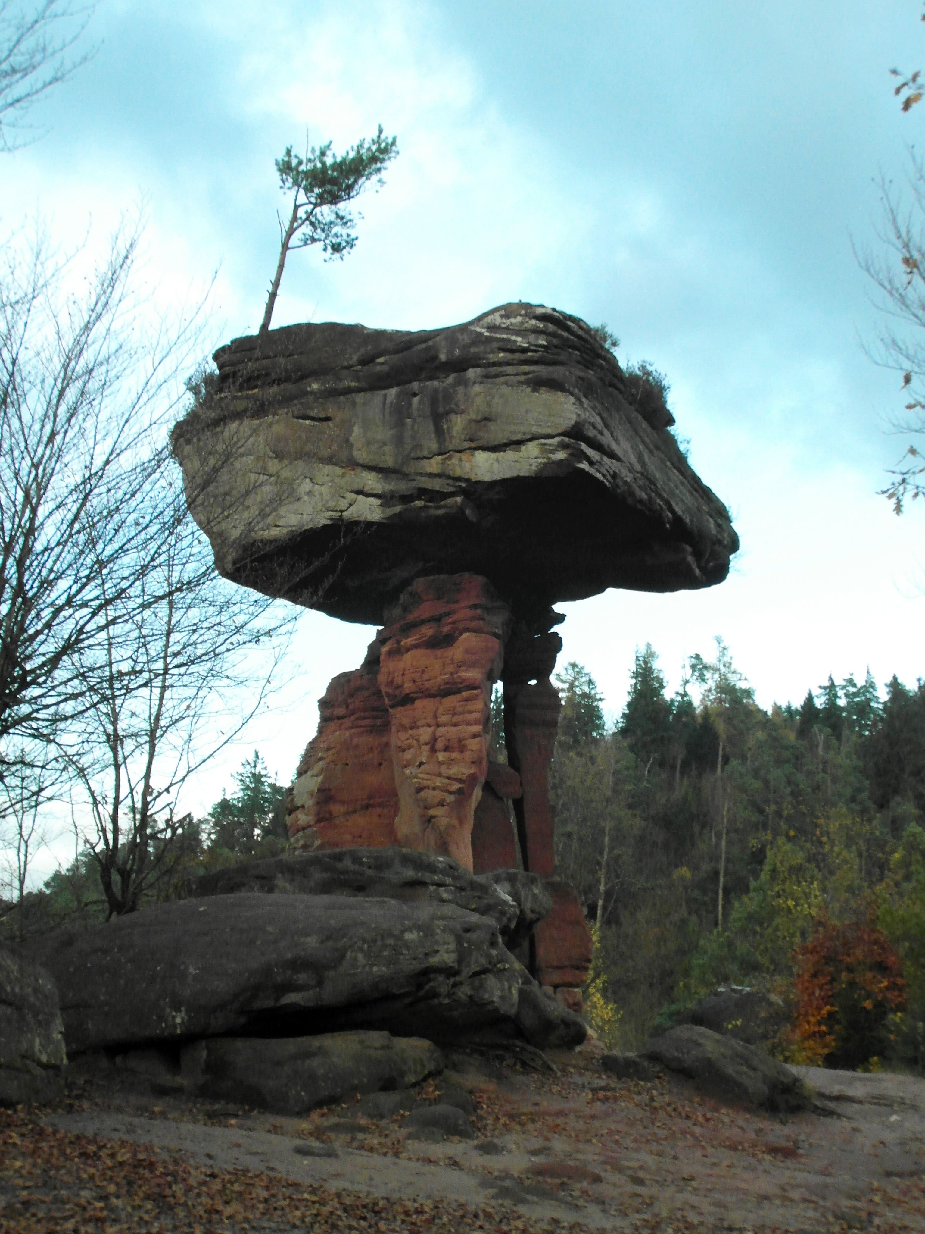 outdoors, low angle view, plant, art and craft, rock formation, autumn, hiking, 4K, day, land, devils table, tranquility, eroded, sandstone rock, rock - object, Phone HD Wallpaper