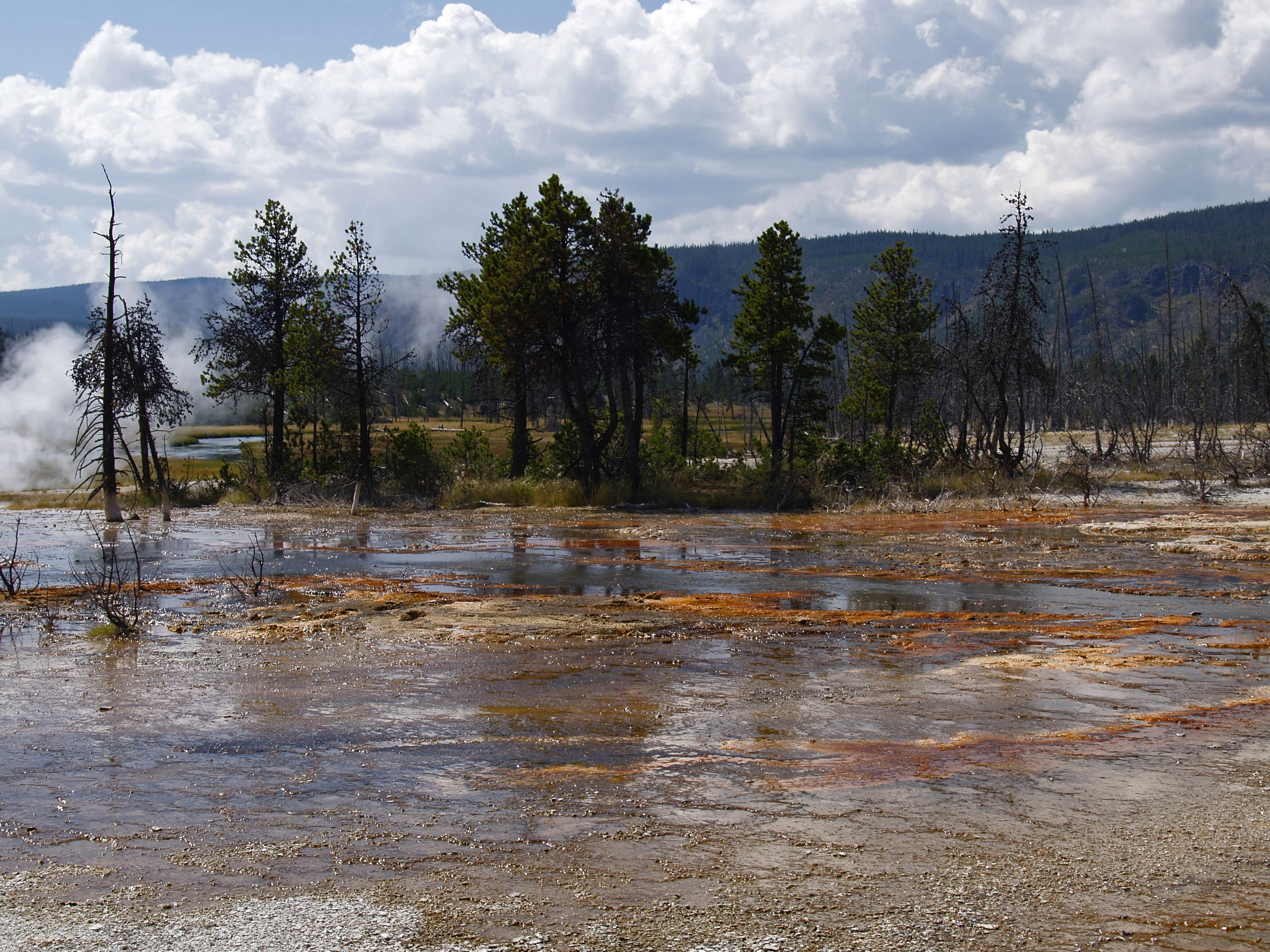 steam, volcanism, erosion, sky, tranquility, nature, flowing water, tourist attraction, pine tree, steaming, wet, flood, Wyoming, flowing, scenics, colorful, HD Wallpaper