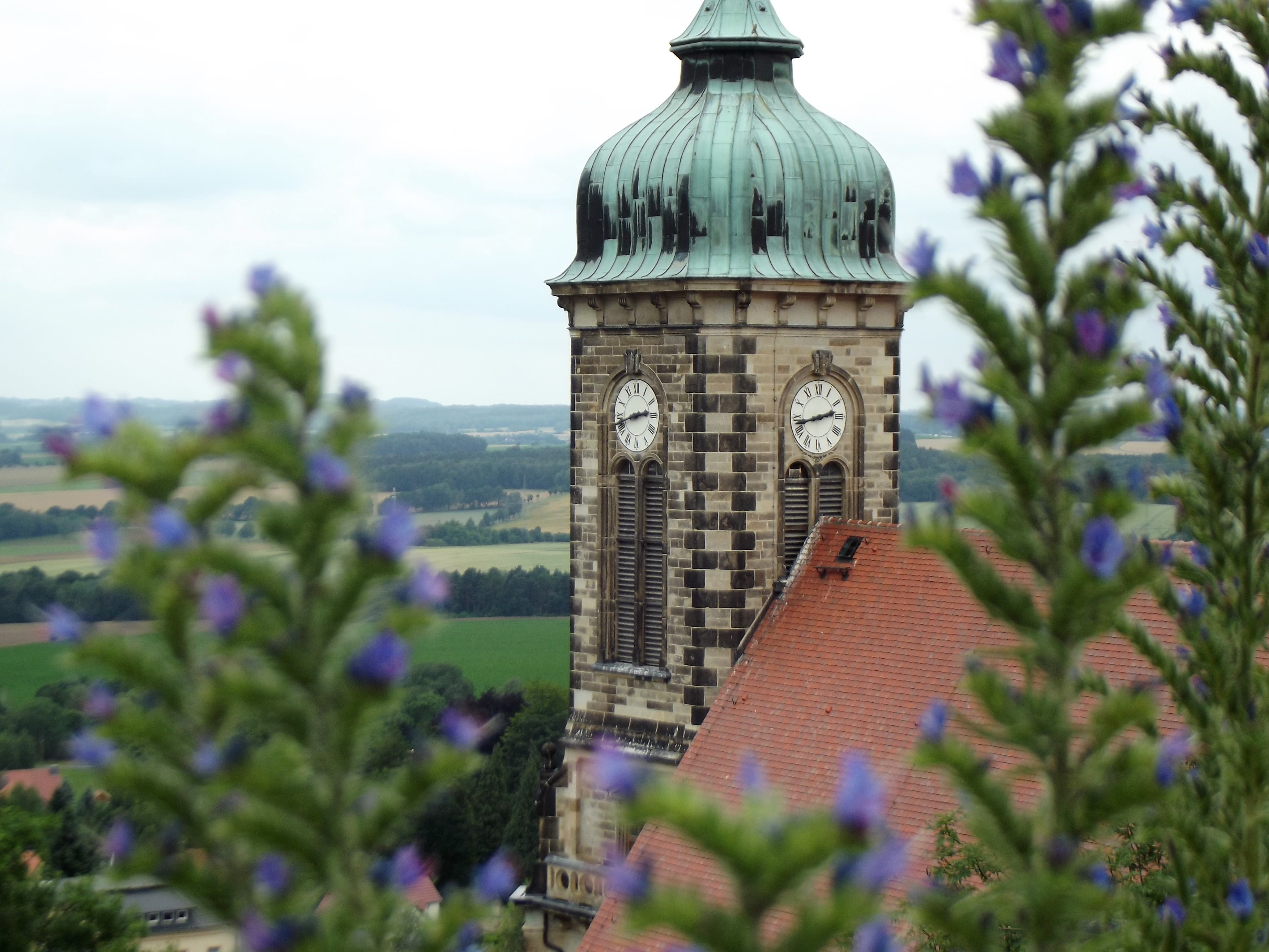 built structure, close-up, castle, tall - high, travel destinations, building exterior, day, focus on background, no people, city, outdoors, flowers, stolpen castle, HD Wallpaper