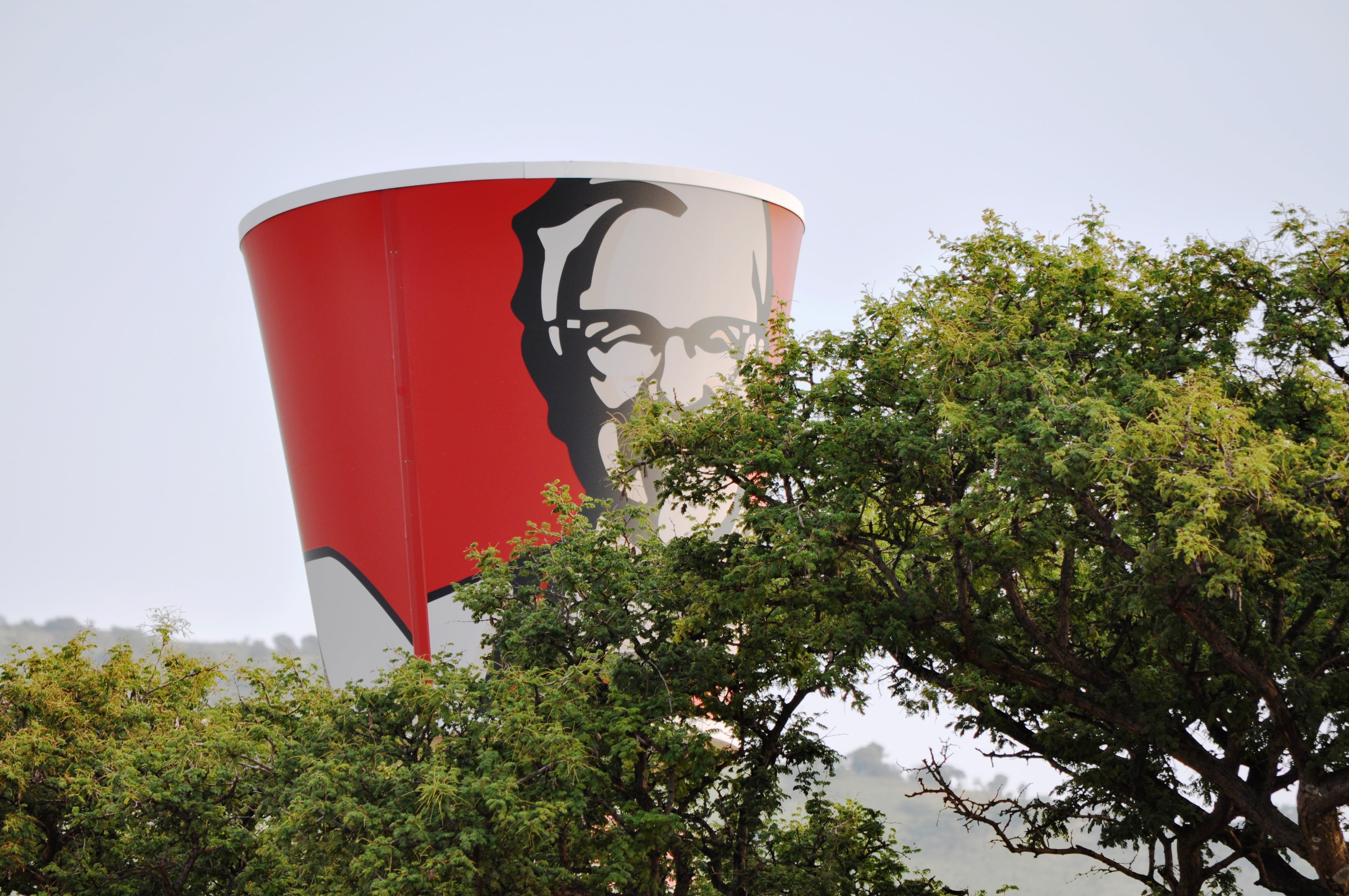red, plant, nature, sky, growth, outdoors, building exterior, water, food, day, 4K, chicken, kentucky fried chicken, chicken nuggets, breakfast, sunlight, HD Wallpaper