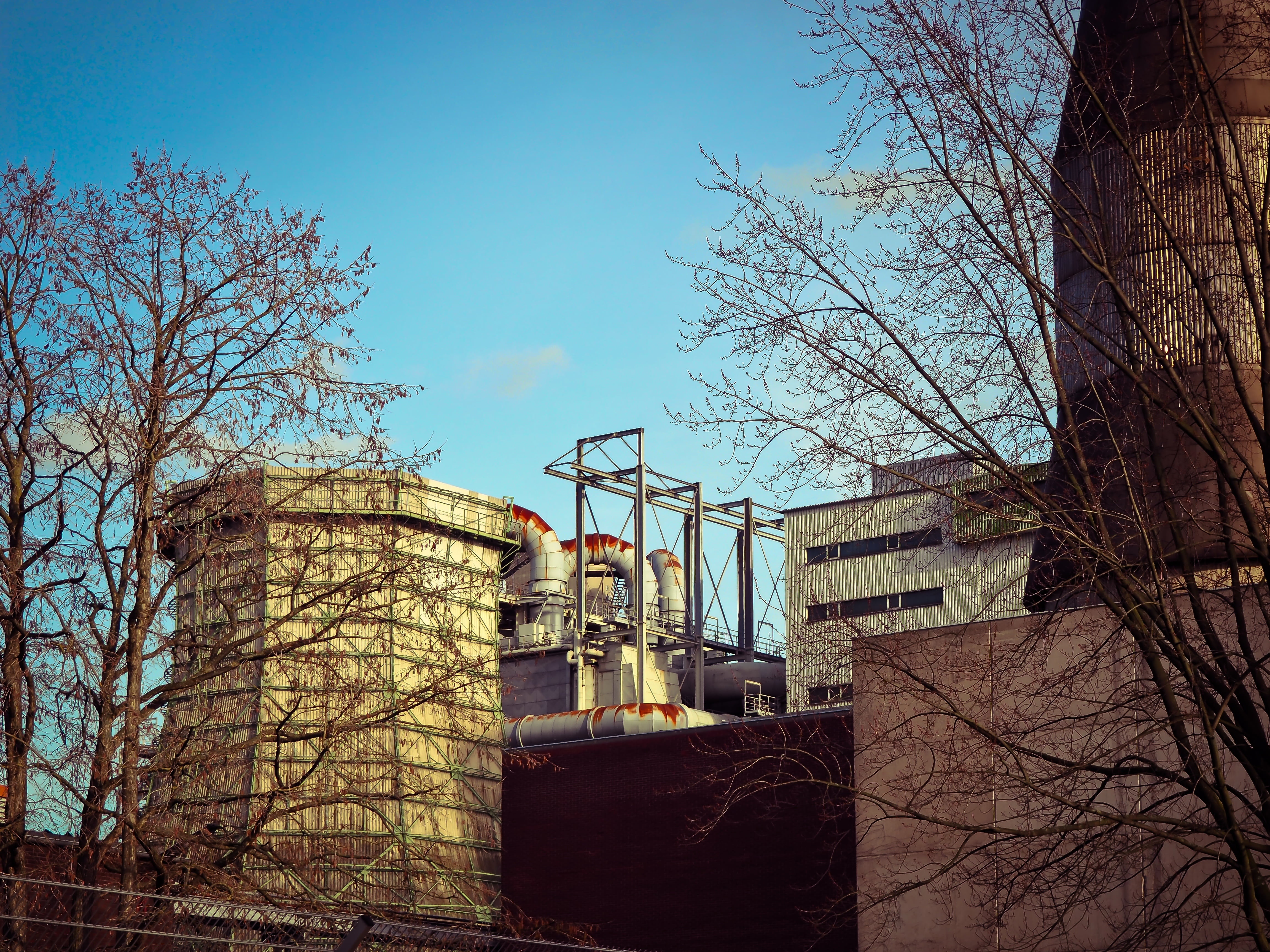 built Structure, branch, architecture, storage tank, blue, water tower - storage tank, day, heat and power plant, nature, hot water boiler, low angle view, HD Wallpaper