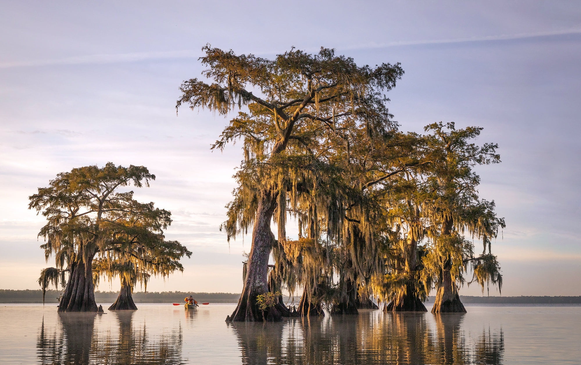 Morning Exercise, 1080P, Parish Governing Authority District 4, United States, Louisiana, HD Wallpaper