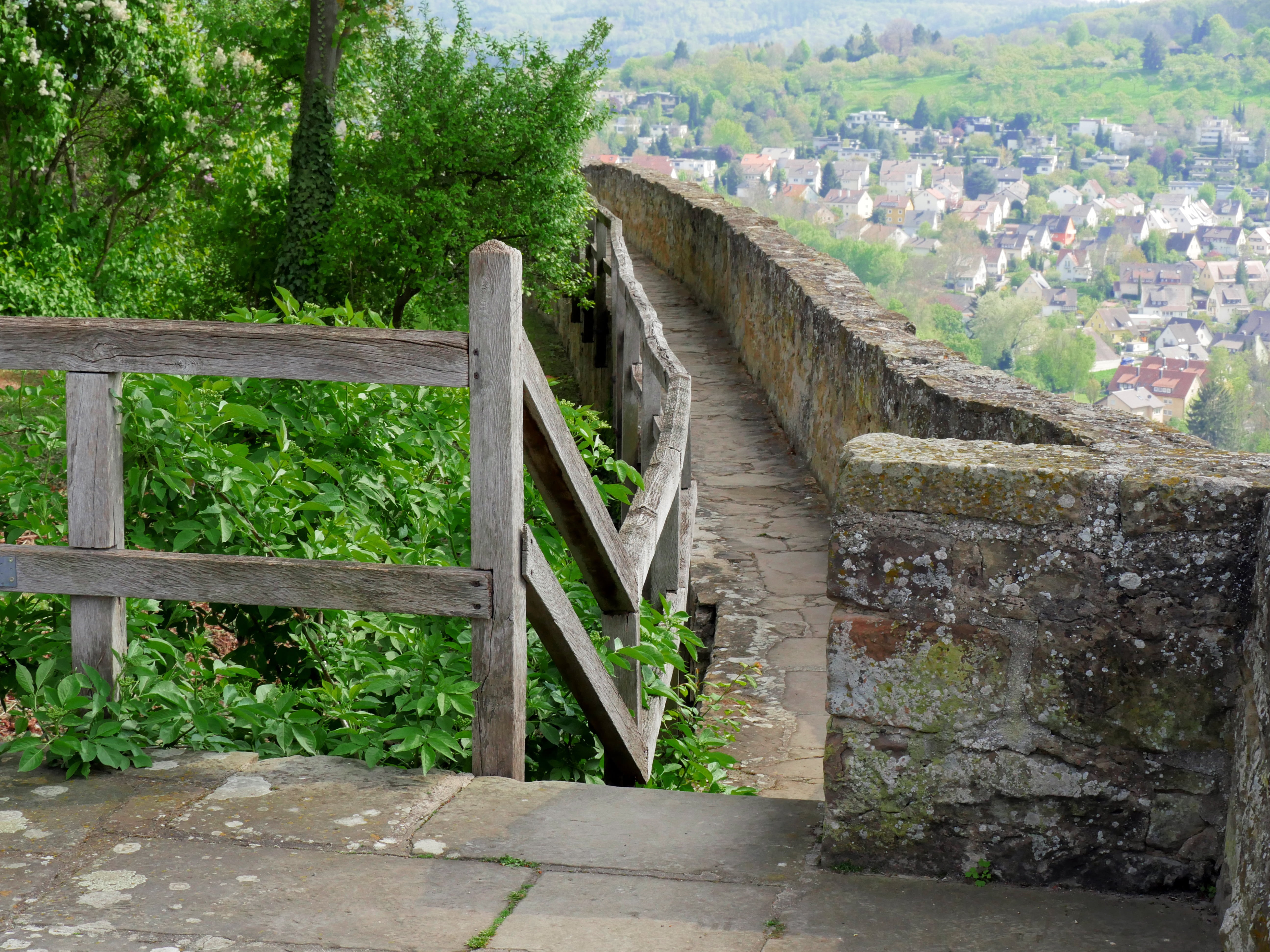 nature, ruin, castle, century, outdoors, green color, no people, wood - material, baden württemberg, human, transportation, stairs, railing, substantiate, HD Wallpaper