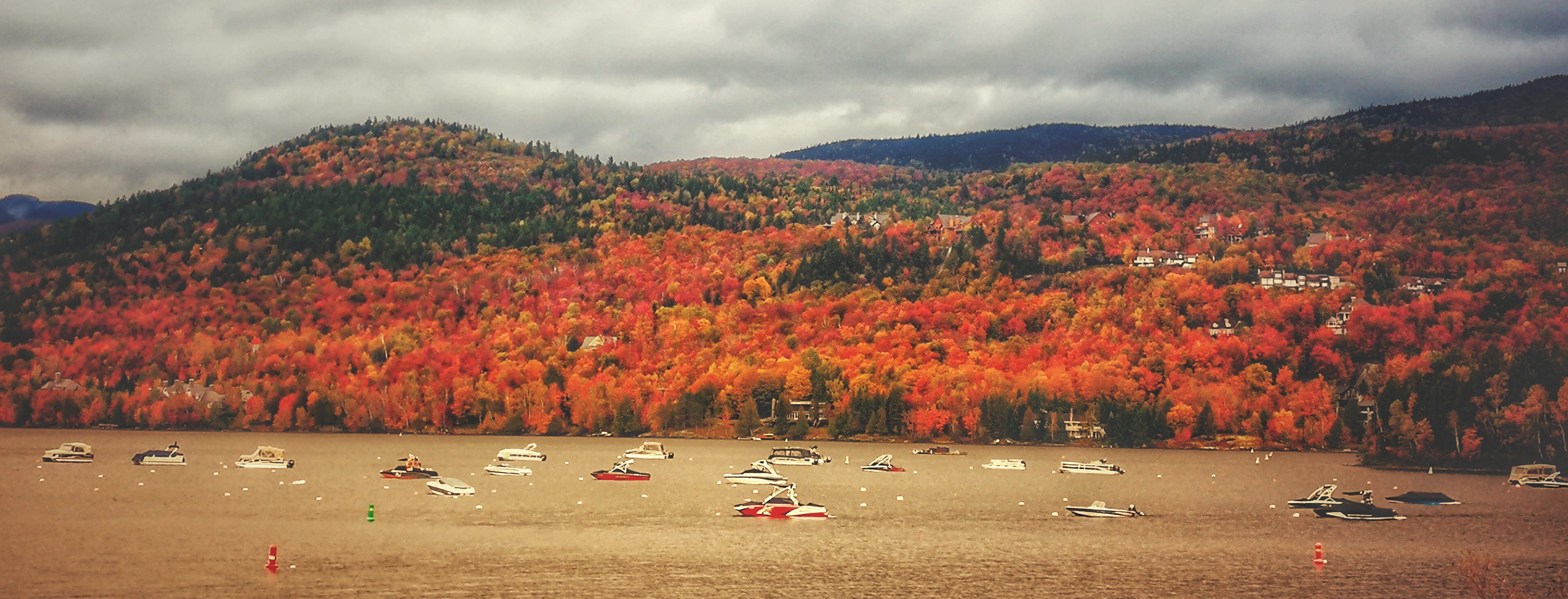 no people, scenics - nature, day, travel destinations, mont-tremblant, landscape, sky, cloud - sky, nature, tree, tranquility, mountain, beauty in nature, HD Wallpaper