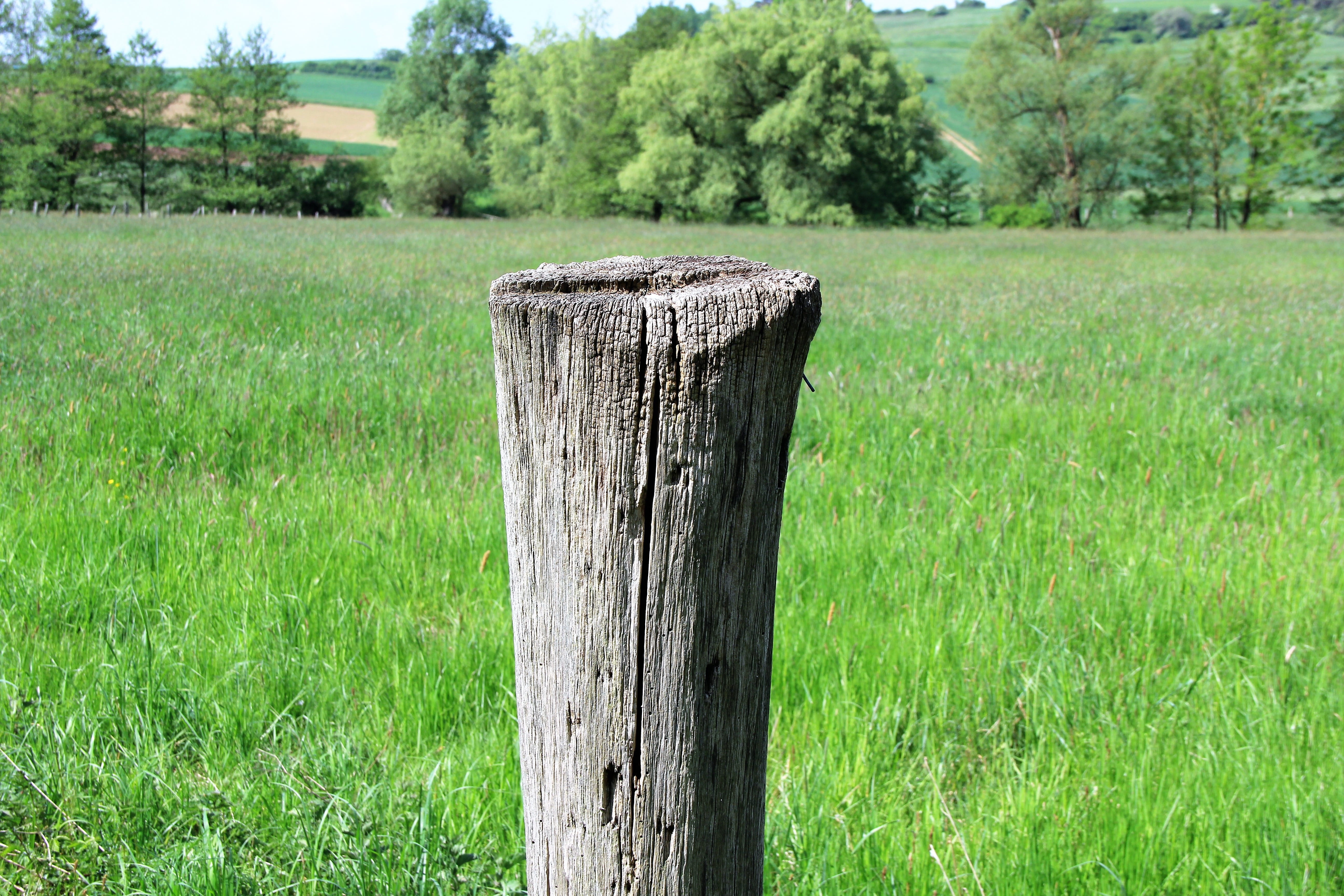 old, outdoors, 5K, no people, tranquil scene, wood - material, green color, pasture, green, pasture fence, pile, grass, plant, growth, nature, limit, wooden posts, HD Wallpaper