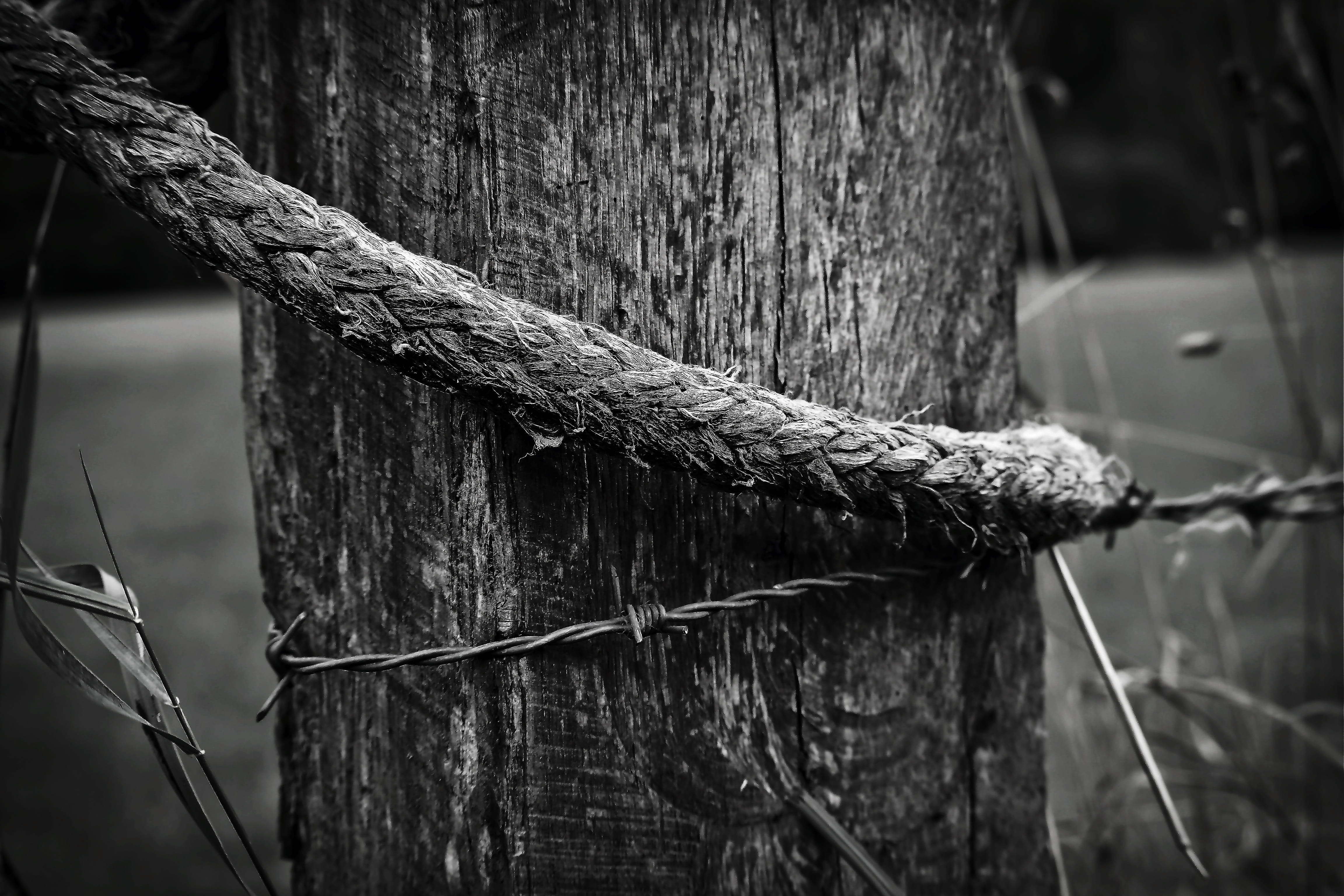 wood - material, metal, wooden posts, pile, meadow, close-up, twisted, spur, wire, water, demarcation, old, textured, wood pile, structure, close up, pole, HD Wallpaper