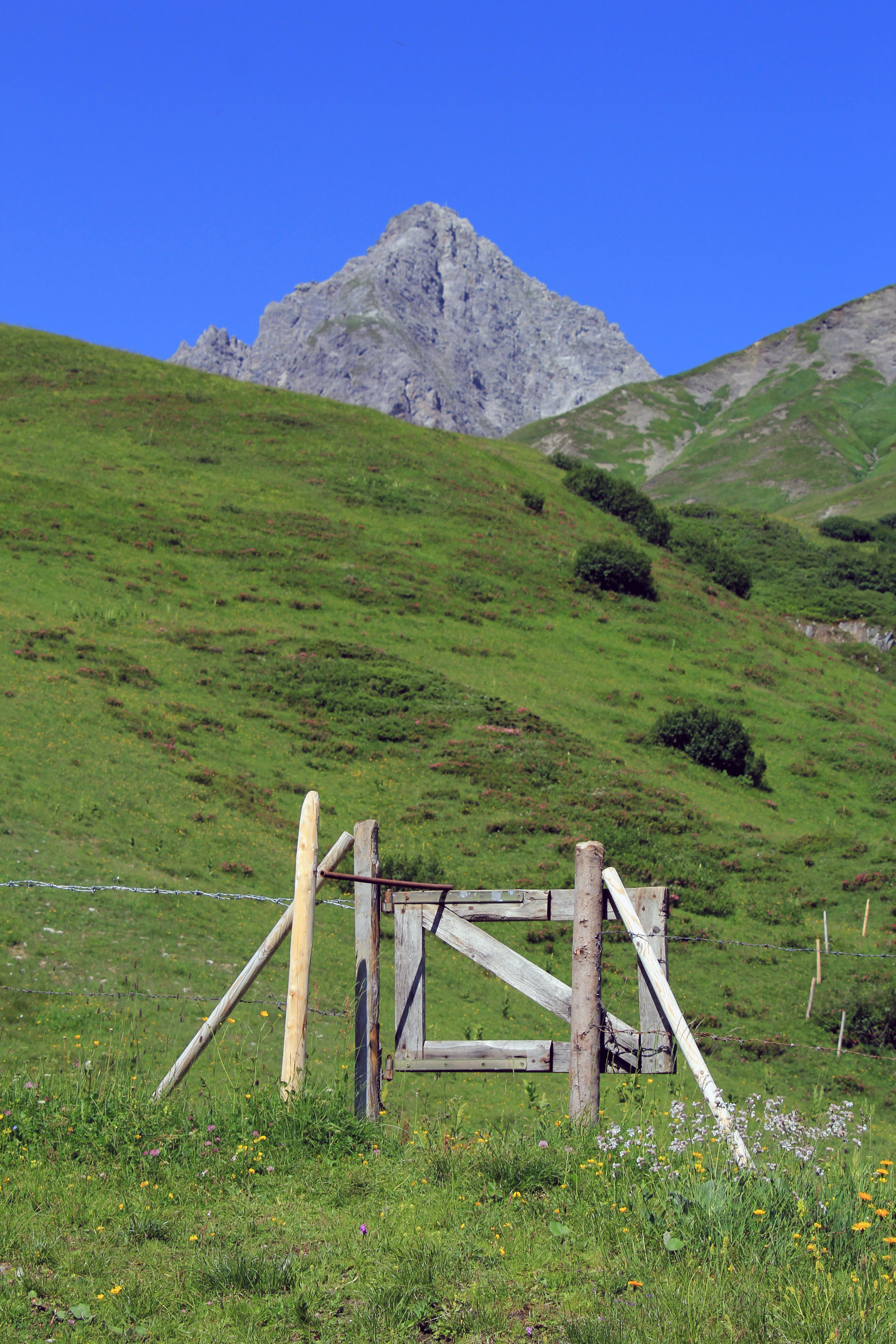mountain peak, wood, tranquil scene, plant, clear sky, old, wooden gate, meadow, tyrol, green color, grass, hill, rock, summer, travel, landscape, pasture, Phone HD Wallpaper