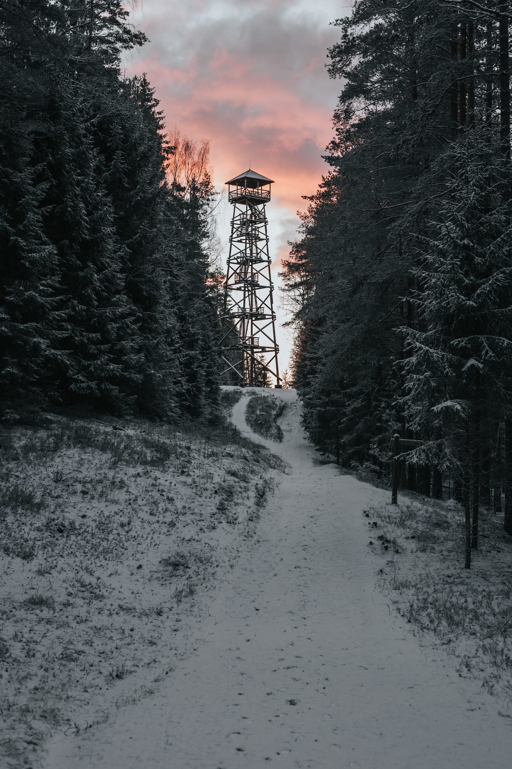 cloud - sky, direction, the way forward, nature, trees, cold temperature, scenics - nature, plant, tranquility, watchtower, outdoors, winter, sky, framed, Phone HD Wallpaper