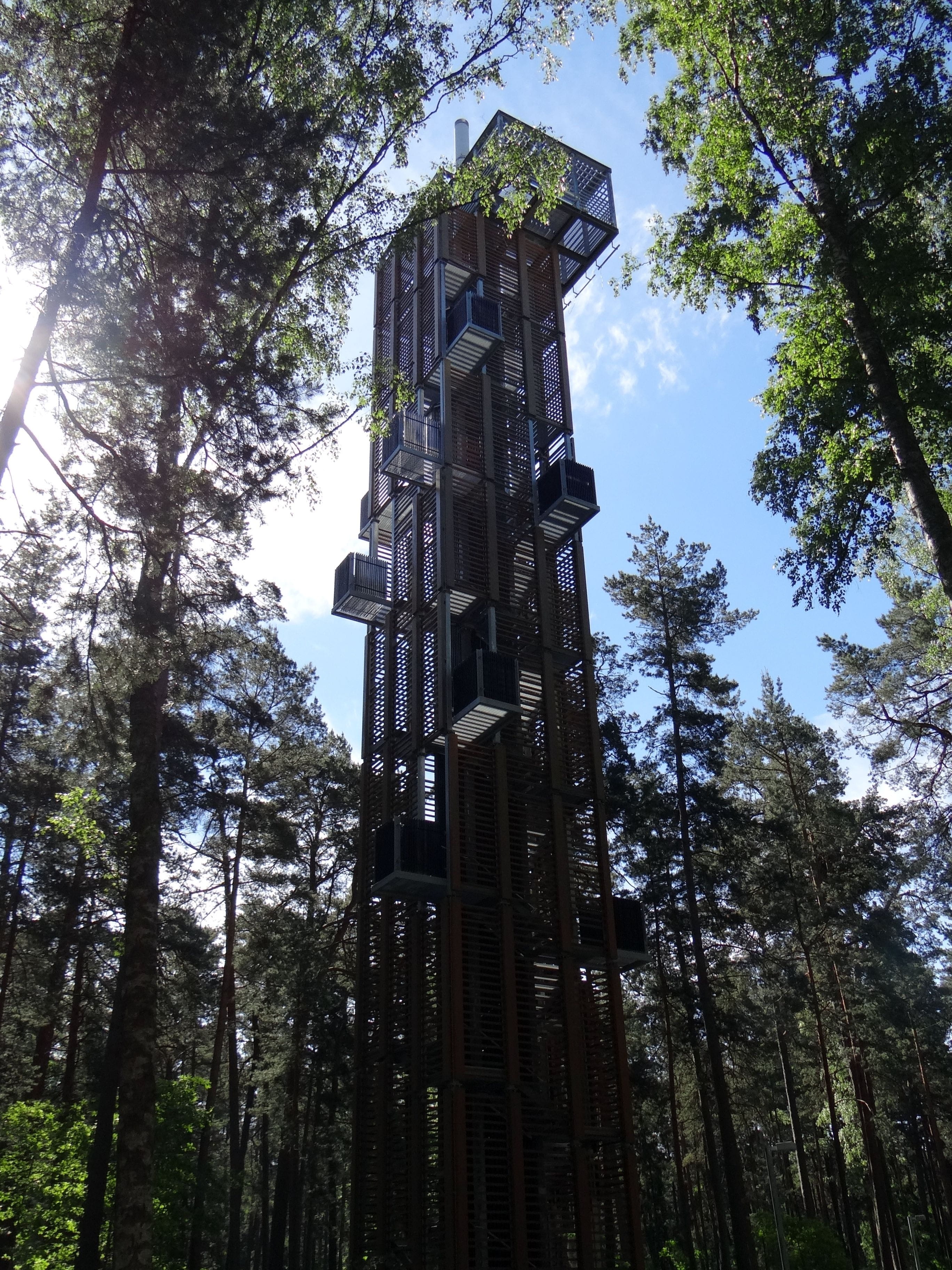 stand, forest, tower, structure, construction, tree trunk, tree, day, plant, contemporary, low angle view, sunlight, land, outdoors, no people, 2K, growth, Phone HD Wallpaper