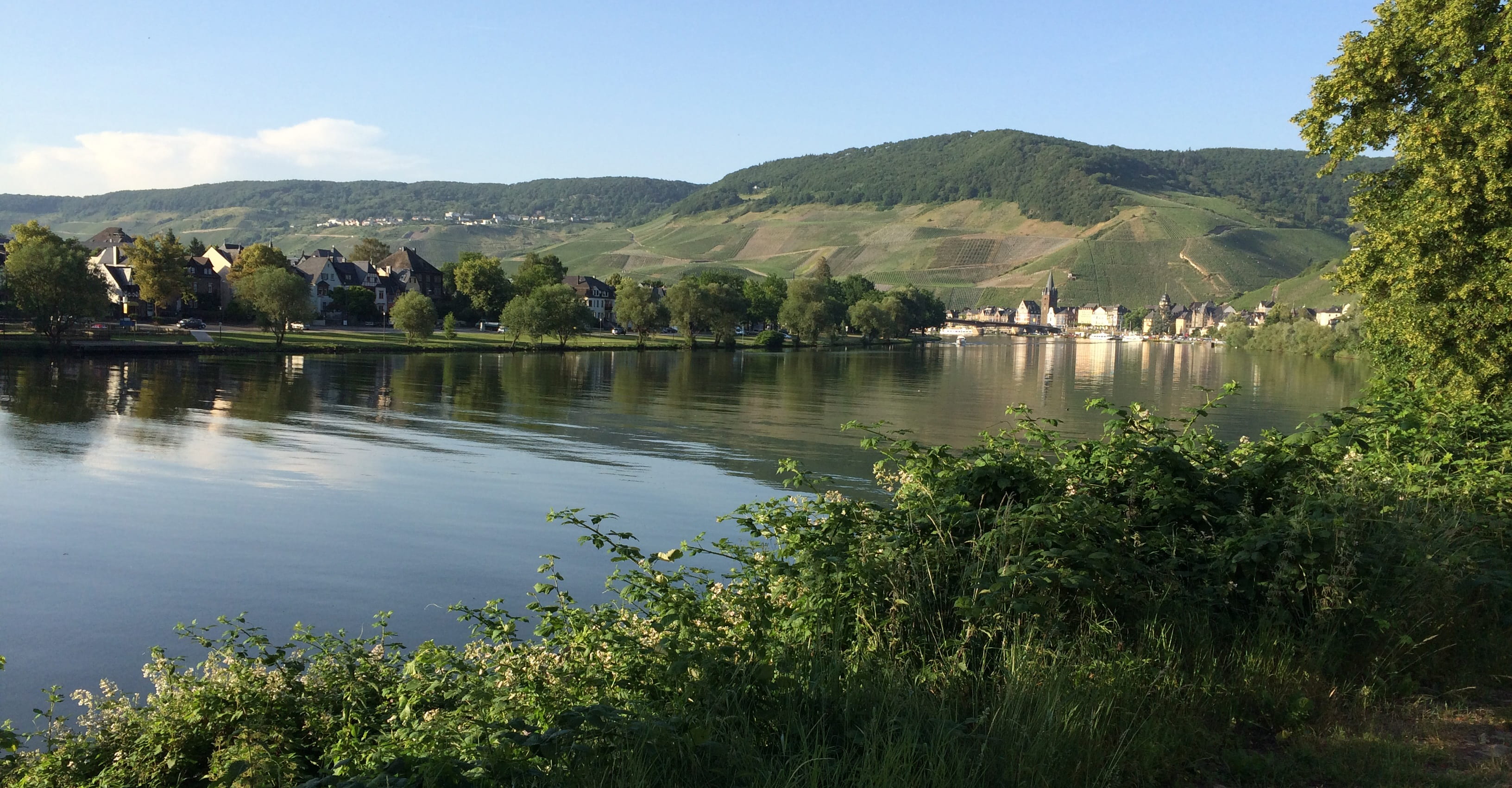 mountain range, summer, wine, kues, tree, plant, rest, mosel, leaves, beauty in nature, tranquil scene, river, lake, bach, mountain, atmosphere, 2K, water running, HD Wallpaper