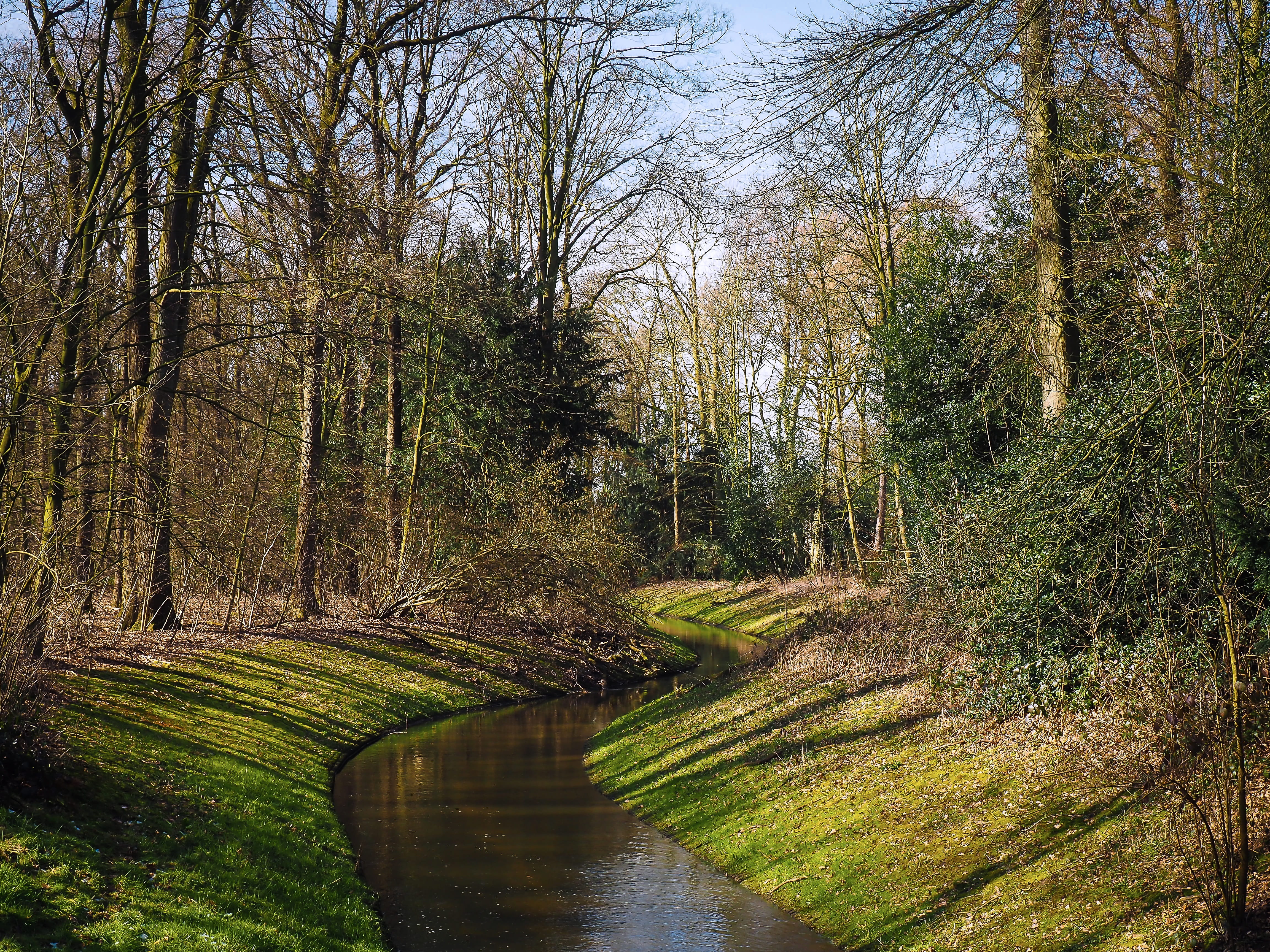 Forest, beauty In Nature, downloading, 4K, Water, scenics, idyllic, reflection, water running, canal, green Color, scenics - nature, local recreation, HD Wallpaper