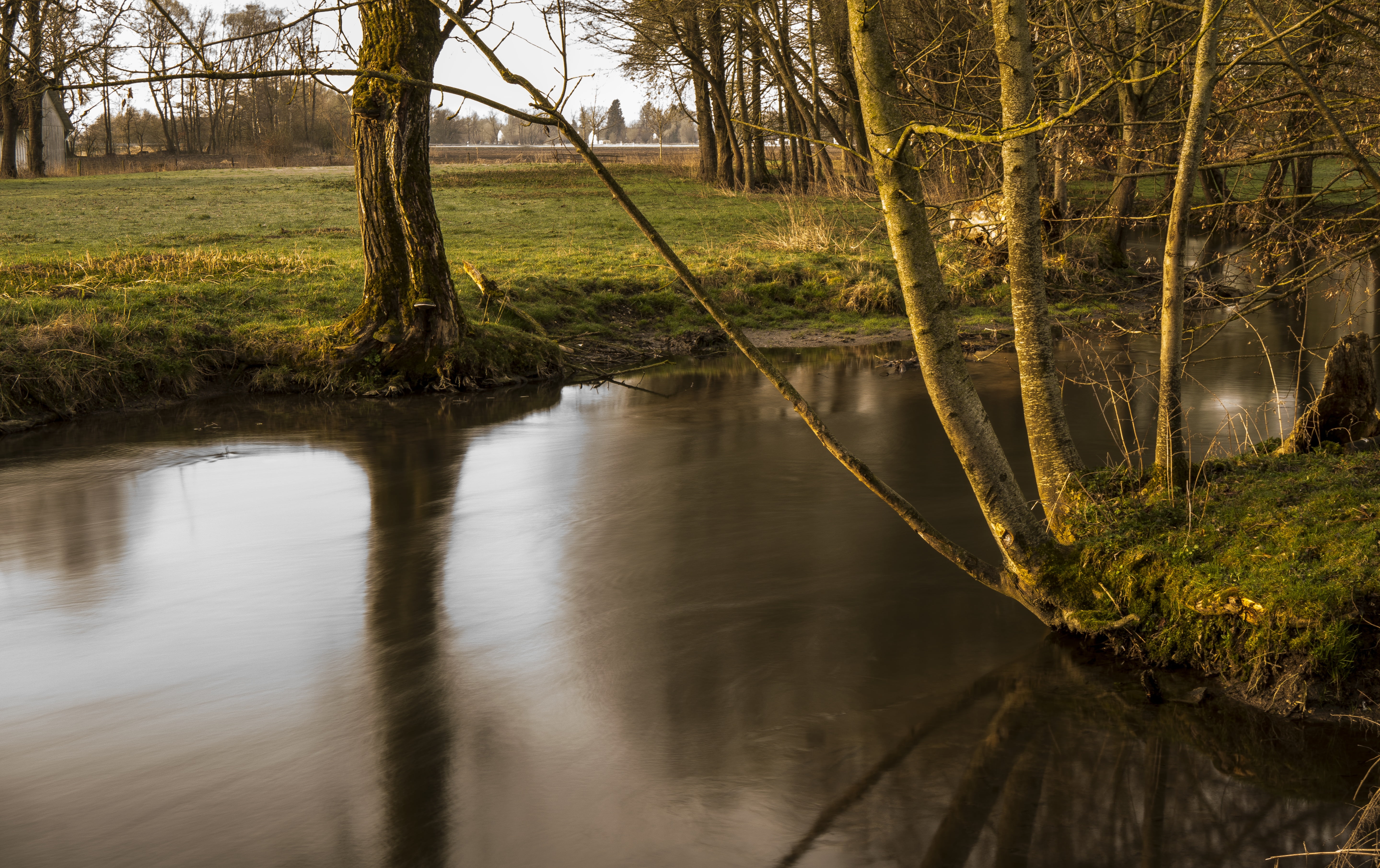 plant, tranquil scene, long exposure, waters, flowing water, murmur, charming, flow, moss, growth, no people, idyllic, alive, beautiful, trunk, river, silent, HD Wallpaper