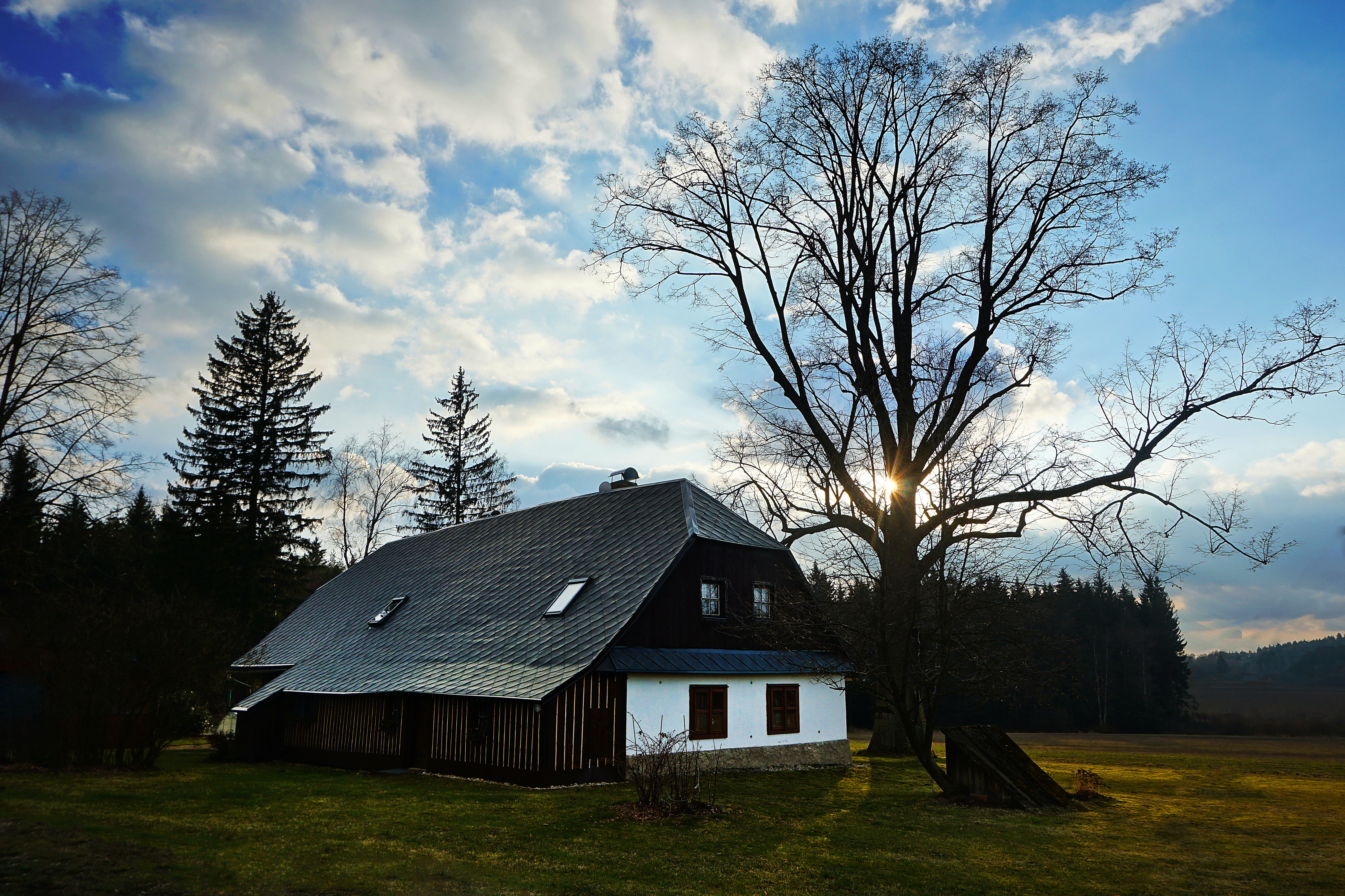 backlight, house, bare tree, grass, building, sunset, shading, sky, cottage, clouds, agricultural building, field, evening, outdoors, environment, twilight, HD Wallpaper