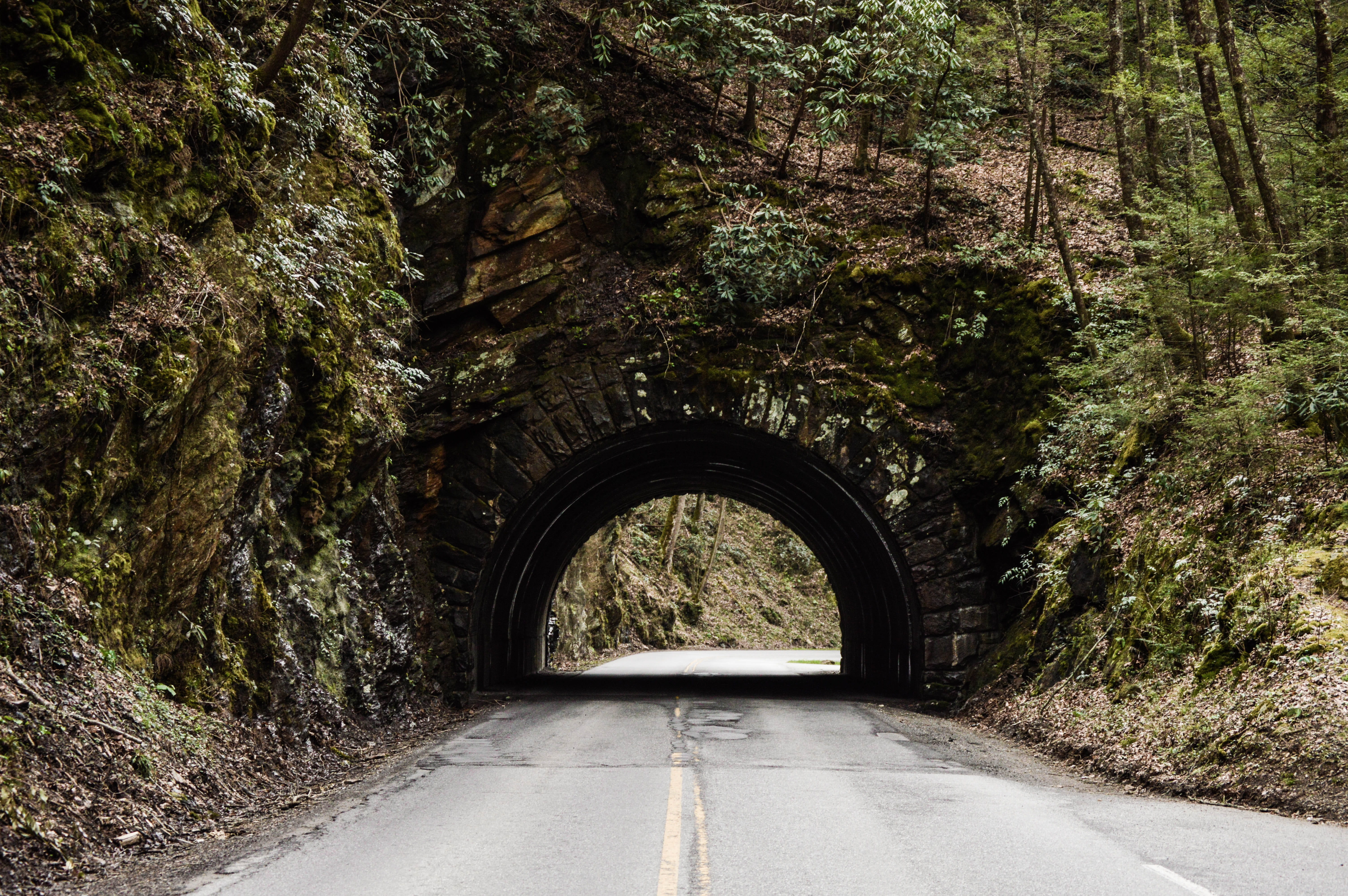 brich, bridge, trees, transportation, 5K, no people, growth, day, direction, tennessee, diminishing perspective, outdoors, nature, plant, arch, road, gatlinburg, HD Wallpaper