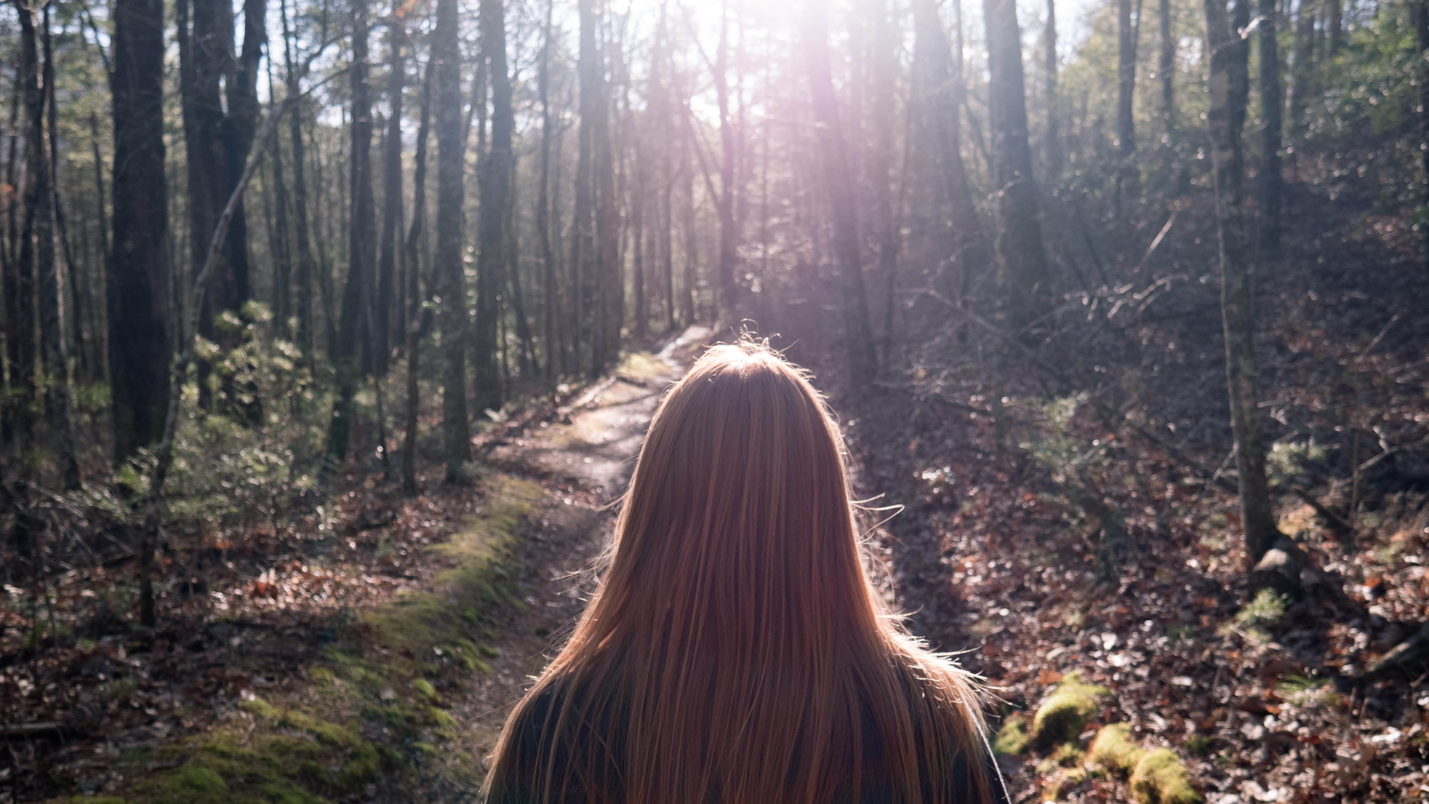national park, trees, person, real people, lifestyles, day, land, red hair, forest, woodland, trail, long hair, nature, one person, people, 4K, backlight, HD Wallpaper
