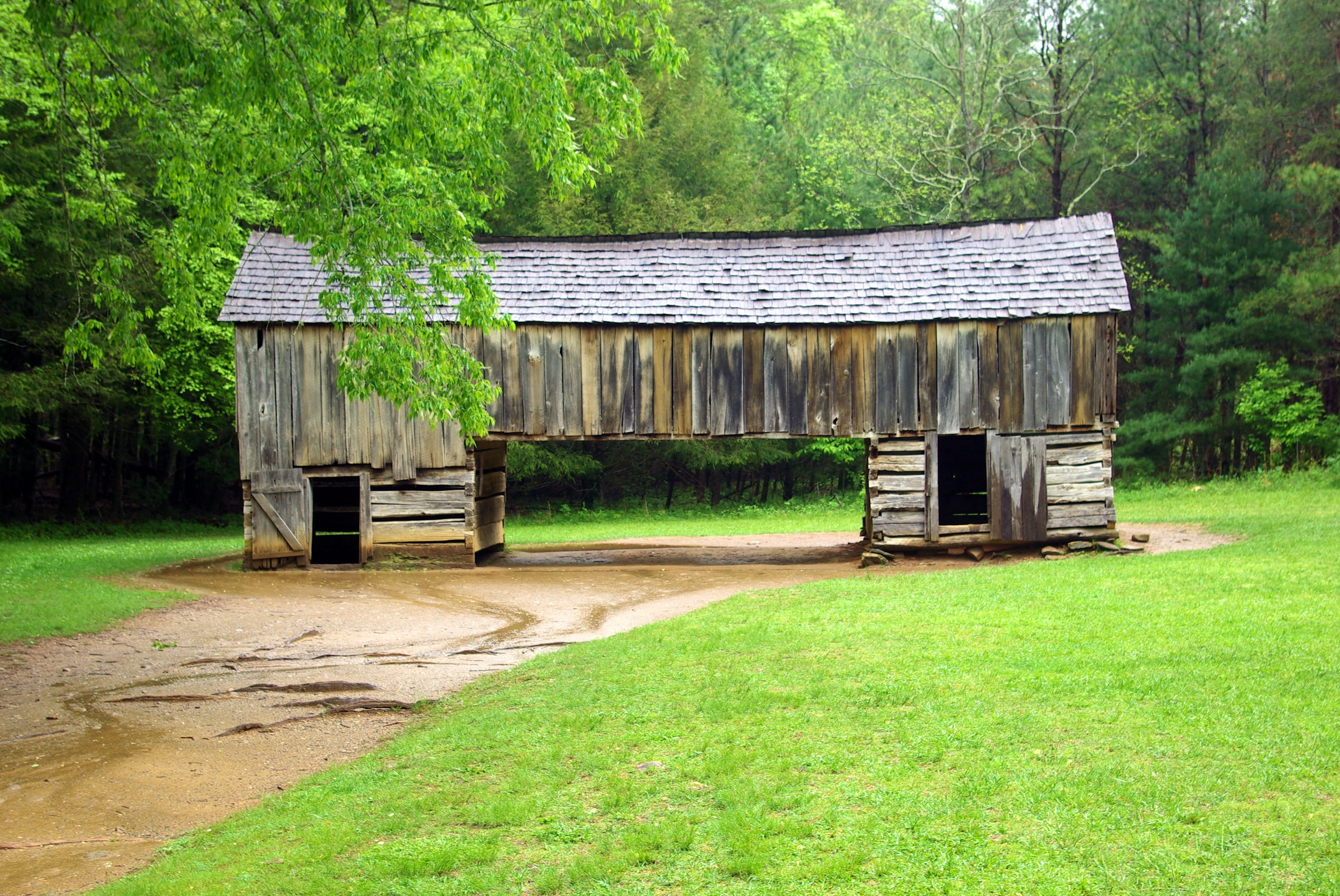 rural, land, field, agricultural building, landscape, wooden, building exterior, 2K, tennessee, mountains, wood - material, appalachian, green color, forest, HD Wallpaper