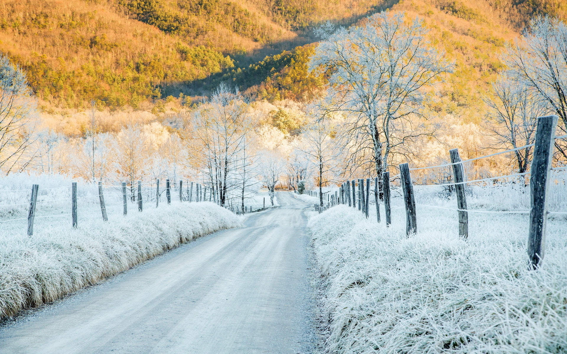 cold, road, Tennessee, hoar frost, sunlight, mountains, 1080P, the fence, Cades Cove, frost, HD Wallpaper