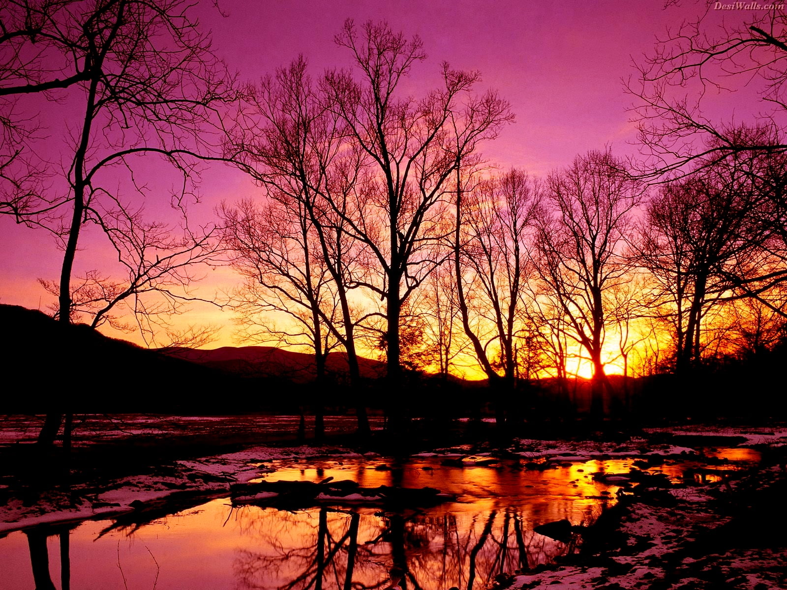 sunset, nature, art, 720P, winter, great, cove, hd, cades, HD Wallpaper