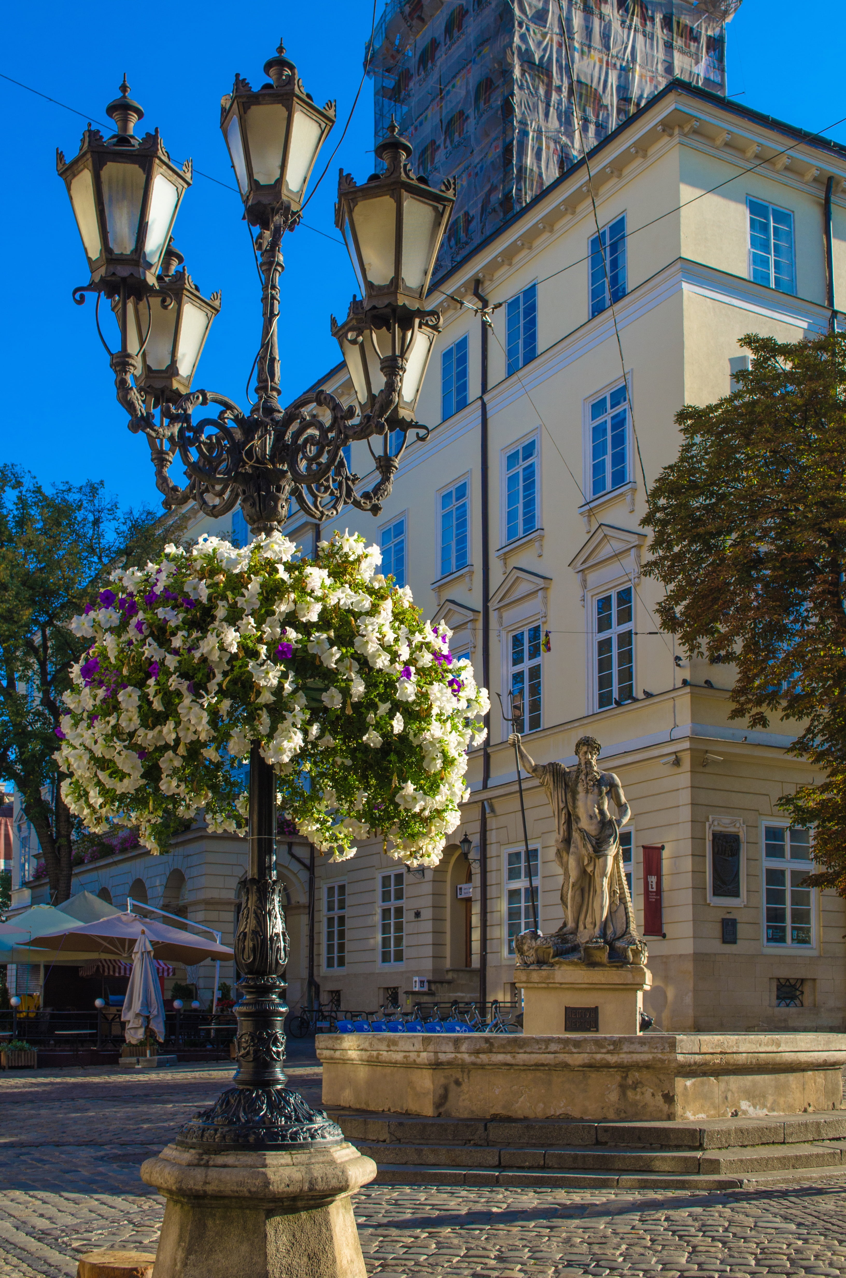 building, day, statue, neptune, plant, built structure, architecture, nature, the city of lviv, flower, outdoors, lviv, building exterior, no people, human representation, Phone HD Wallpaper