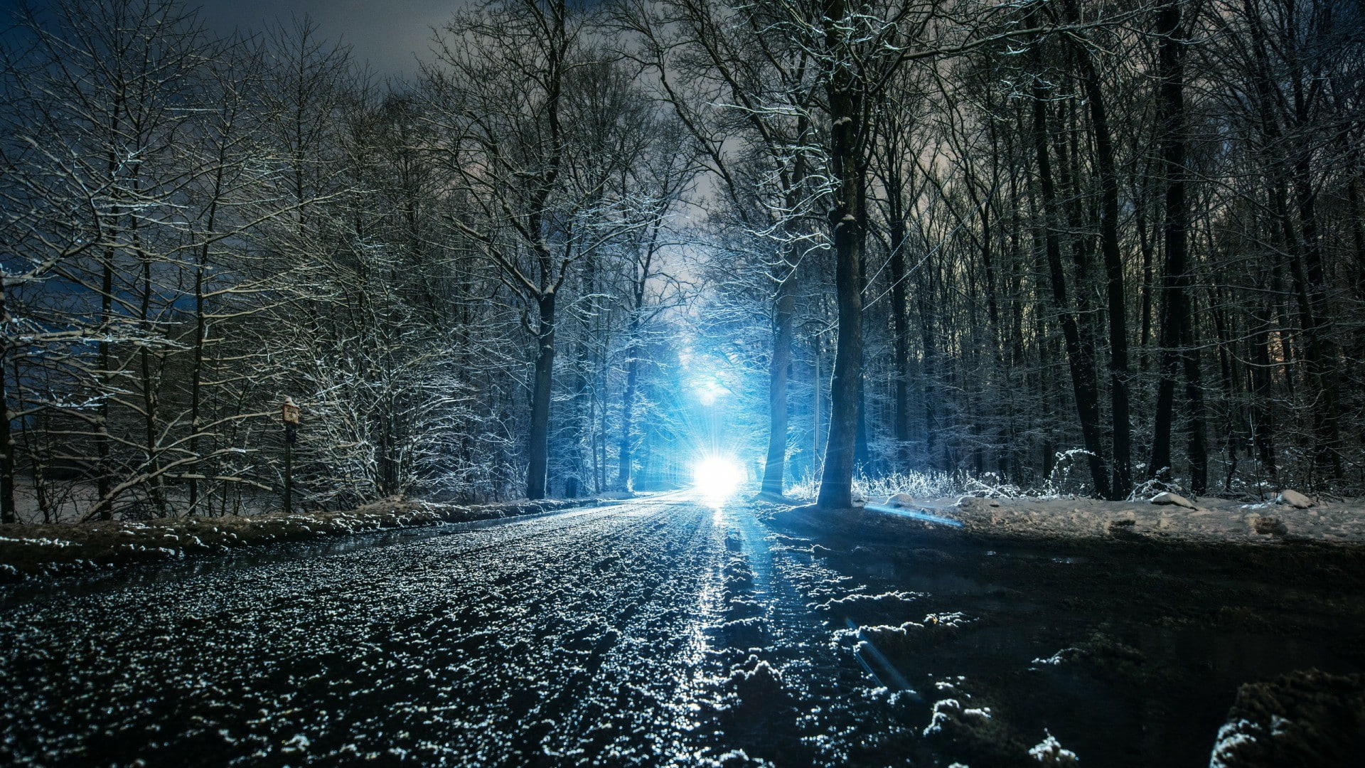 night, night time, wintertime, road, darkness, woods, snow, nighttime, woodland, light, forest, tree, blue, winter, twilight, 1080P, HD Wallpaper