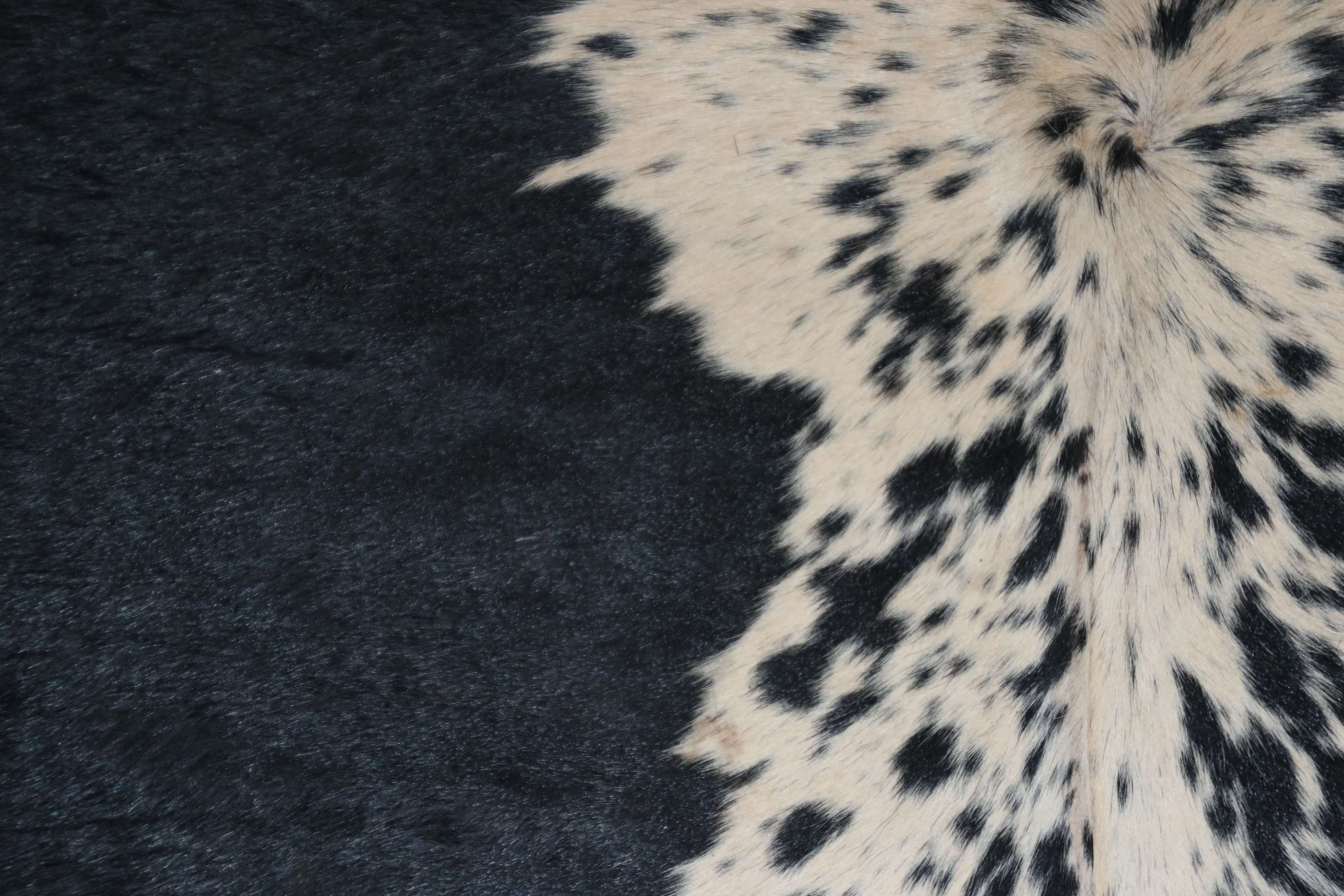 spotted, dots, animal hair, animal body part, animal themes, feline, cow, cat, big cat, leopard, clothing, 4K, coat, hair, fur, black and white, animal, HD Wallpaper