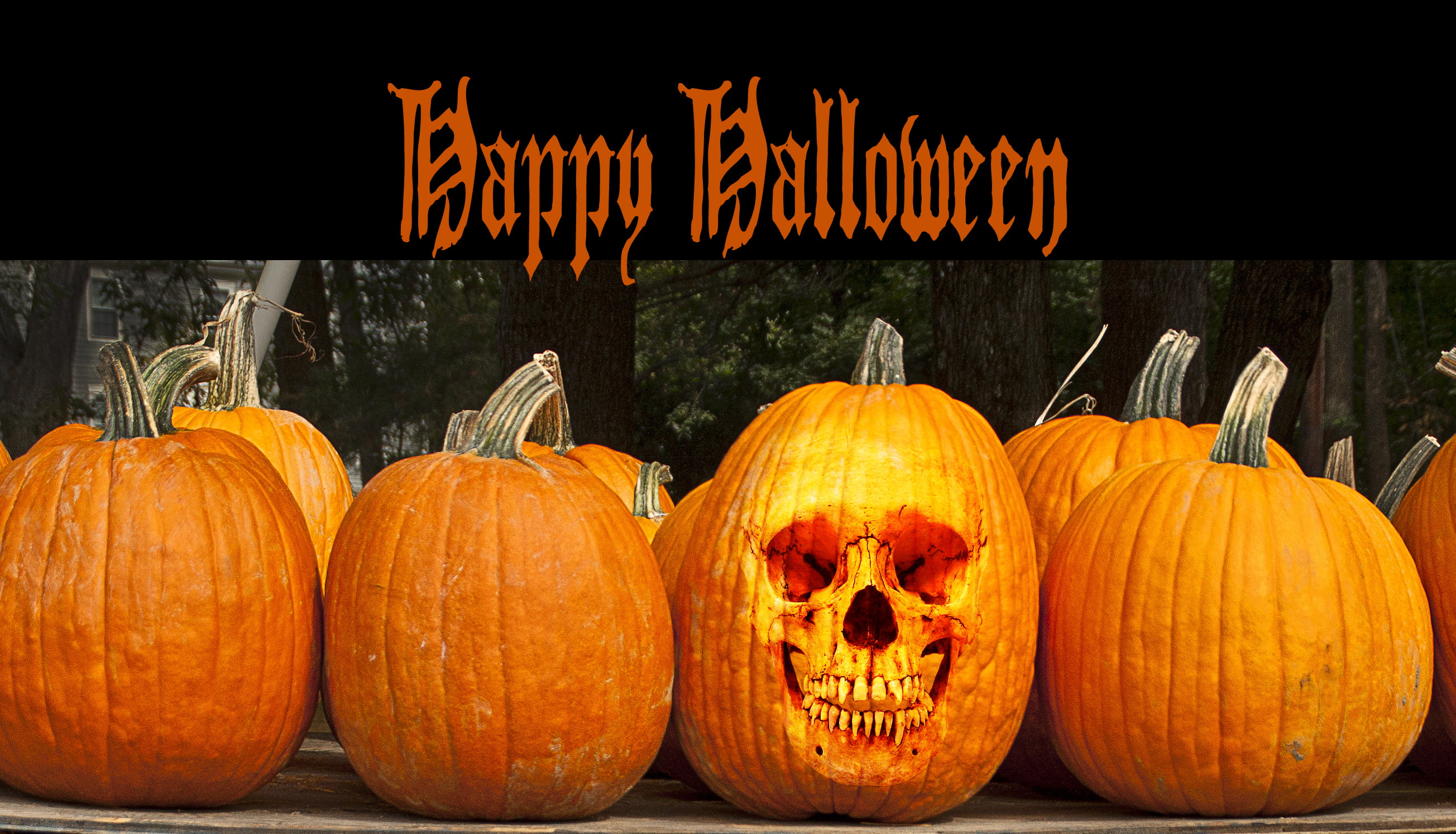 squash, spooky, Happy, skull, orange Color, pumpkin, season, 2K, celebration, horror, Halloween, poster, holiday, october, autumn, pumpkins, decoration, HD Wallpaper