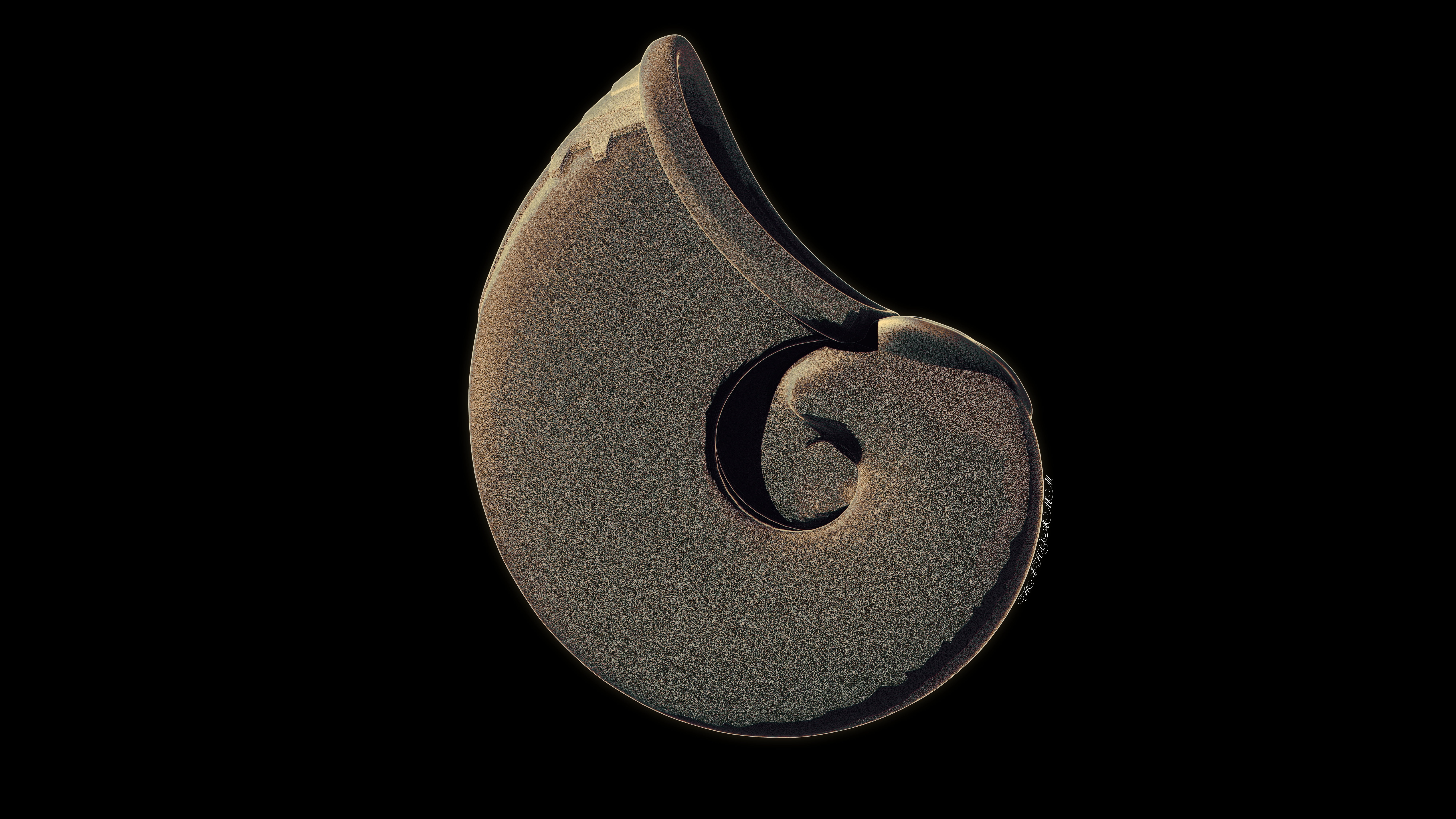blender3d, scifi, blender render, shell, 8K, 3dart, HD Wallpaper