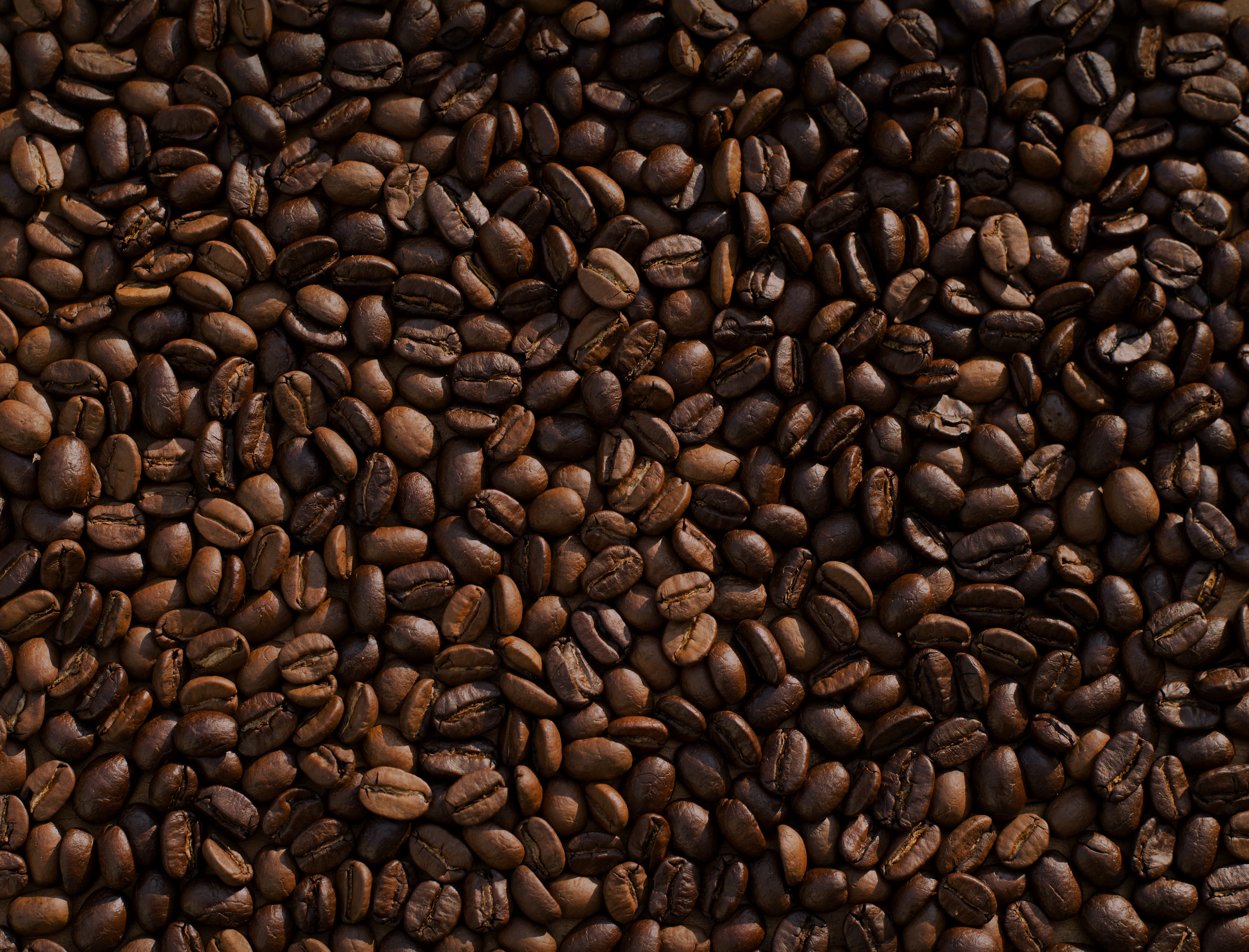 no people, textured, coffee - drink, caffeine, coffee bean, roasted, full frame, many, roast, natural, coffee shop, bean, coffee, backgrounds, indoors, HD Wallpaper