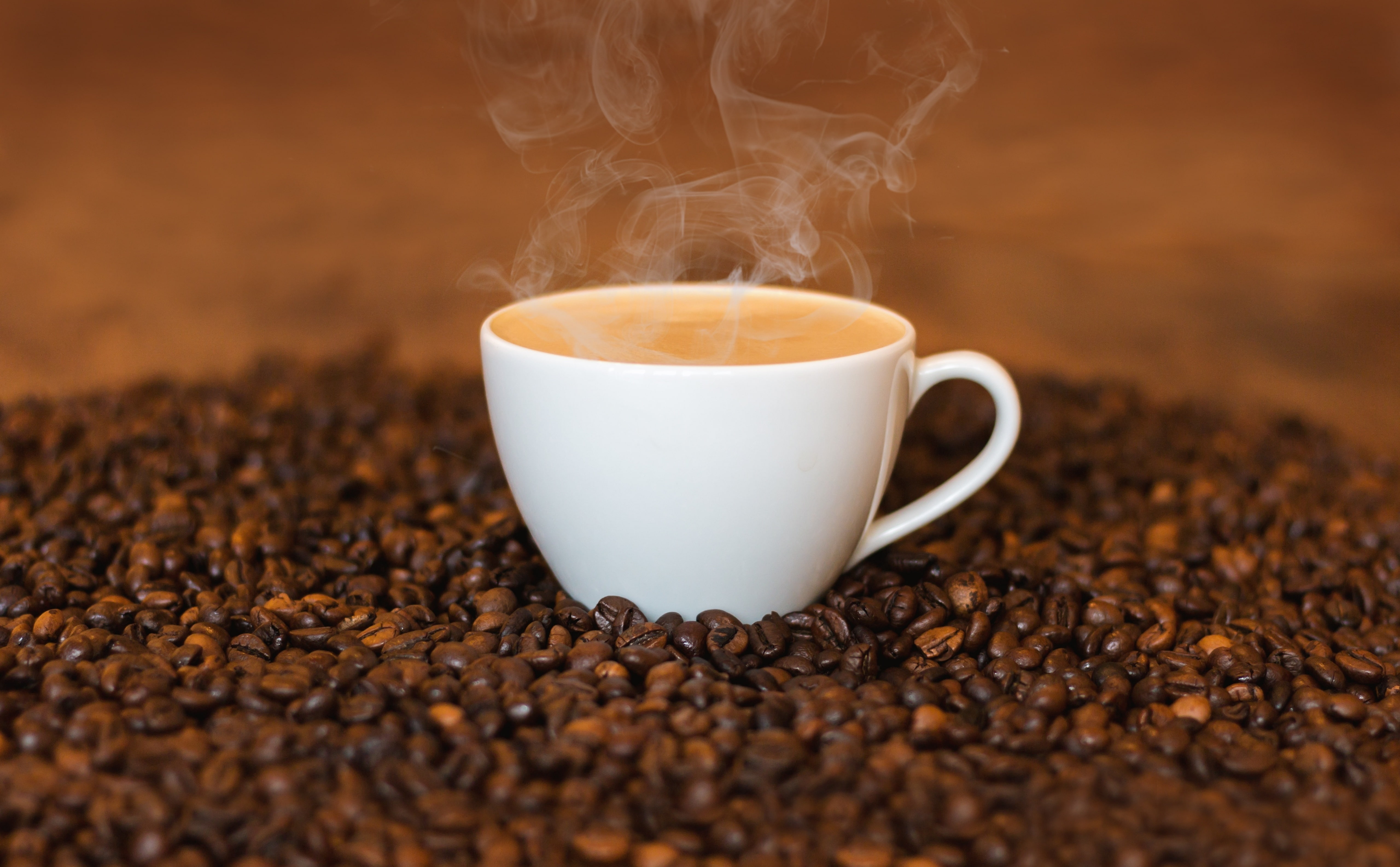 latte, cup, coffeebeans, Brown, Morning, mug, cupofcoffee, 5K, Food and Drink, tea cup, selective focus, coffeecup, non-alcoholic beverage, Energy, Cafe, HD Wallpaper
