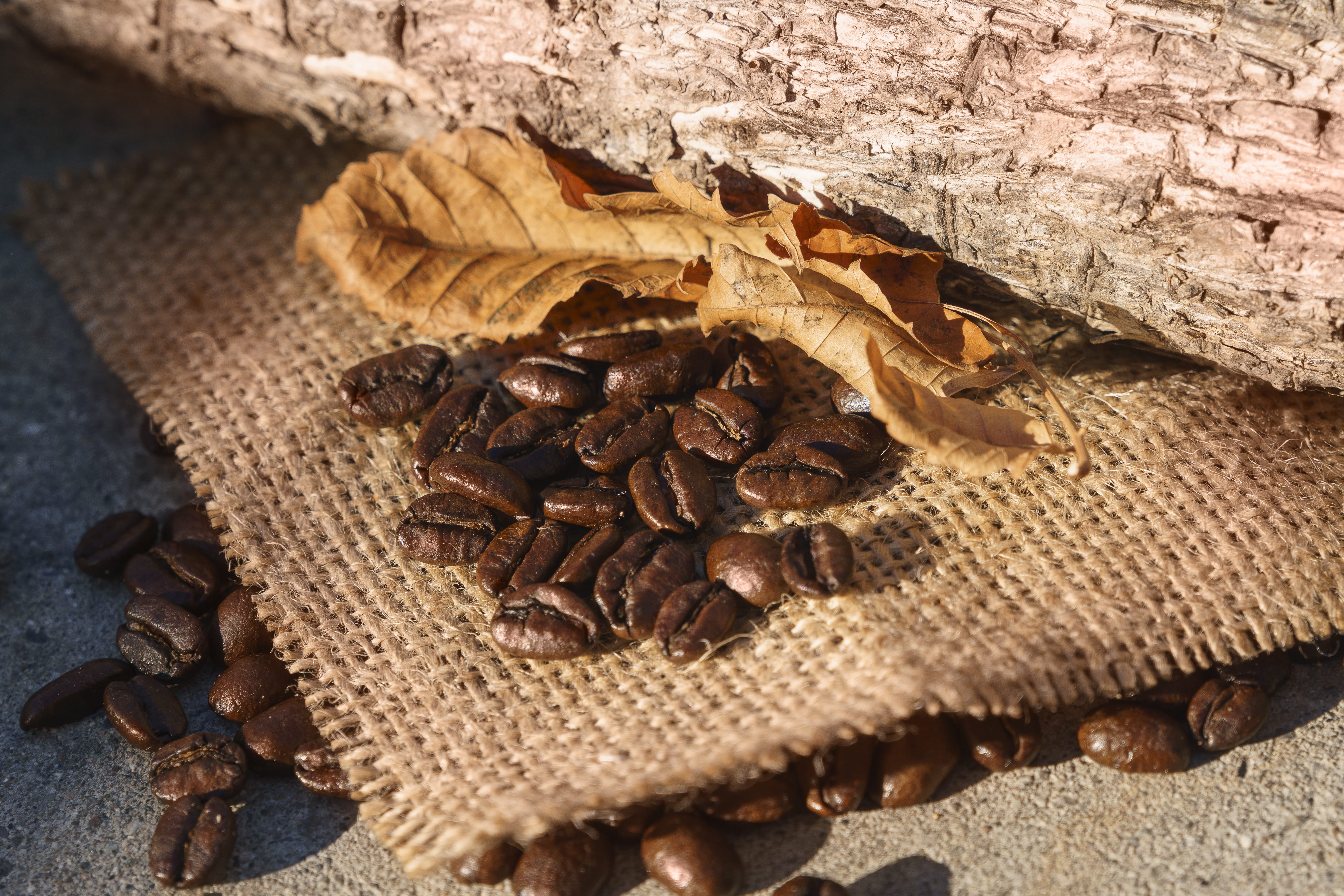 sack, still, coffeebean, jute, brown, still life, wood - material, no people, nature, photography, outdoors, percypham, leaf, dried, zeiss, life, freshness, HD Wallpaper