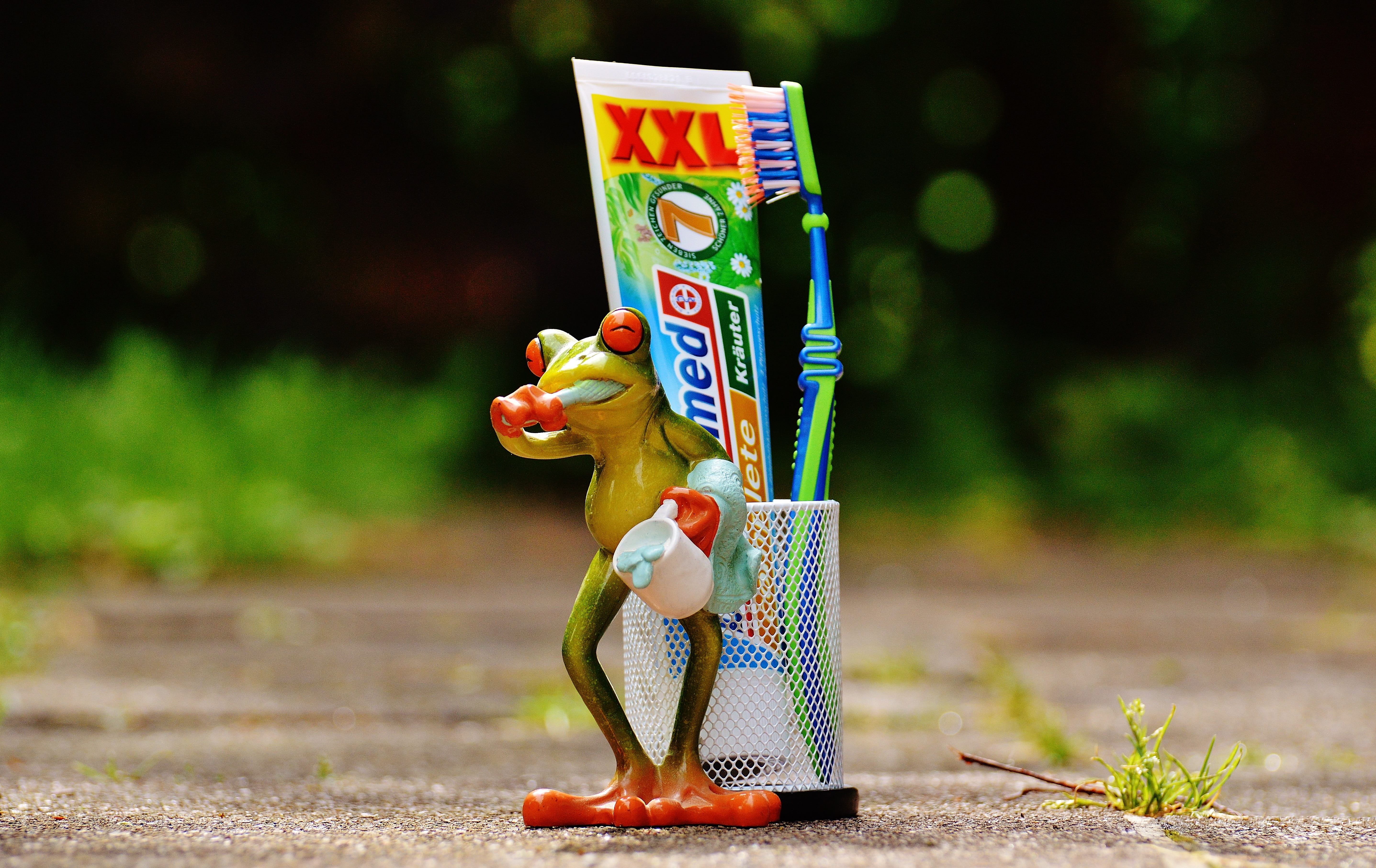 dental care, childhood, offspring, brushing teeth, 5K, brush, toy, Toothbrush, fruit, human representation, nature, representation, cute, surface, bless you, HD Wallpaper