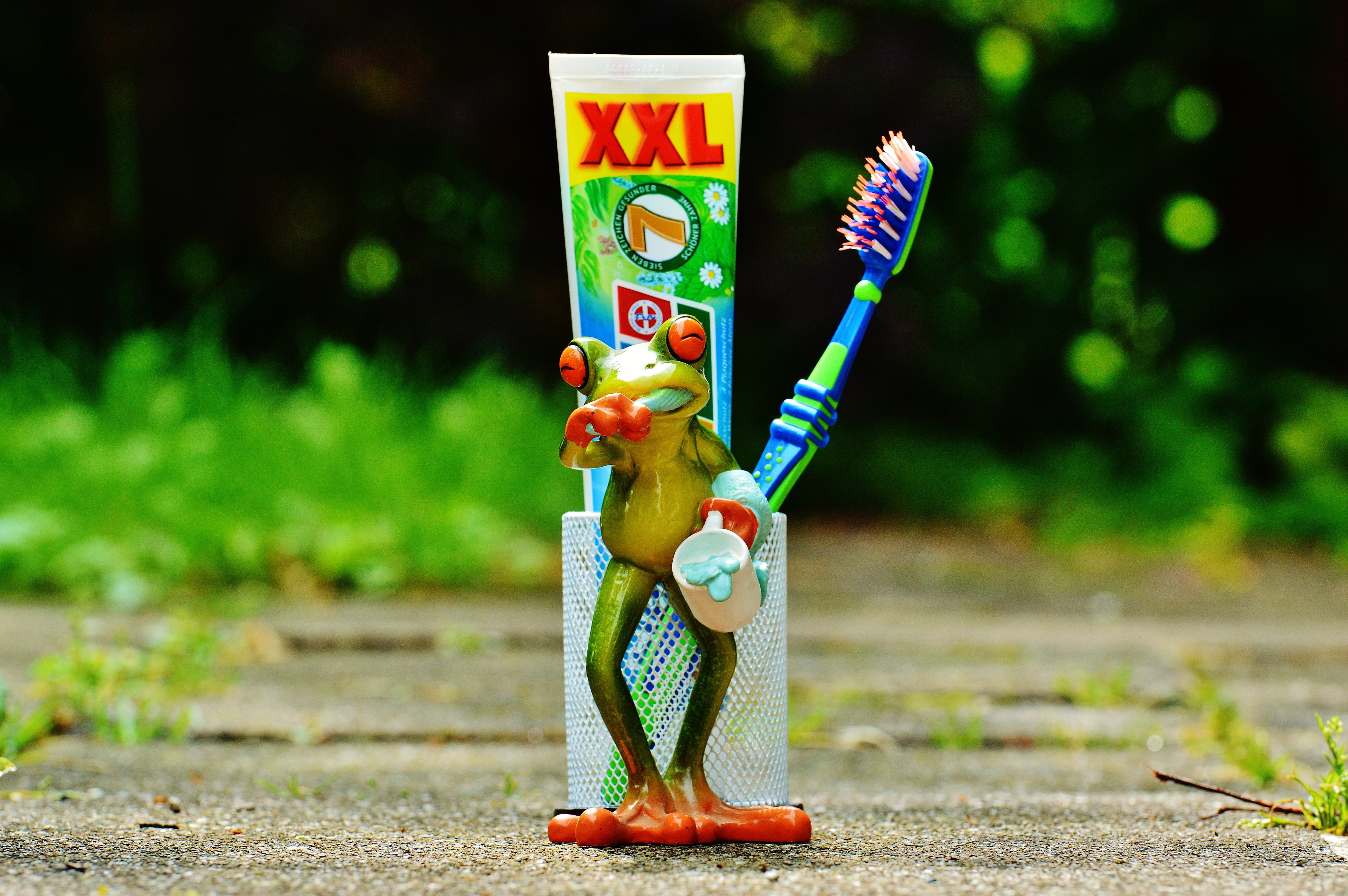 creativity, dental care, road, art and craft, nature, dental hygiene, plant, food and drink, toothbrush, brush, care, human representation, toy, brush head, HD Wallpaper