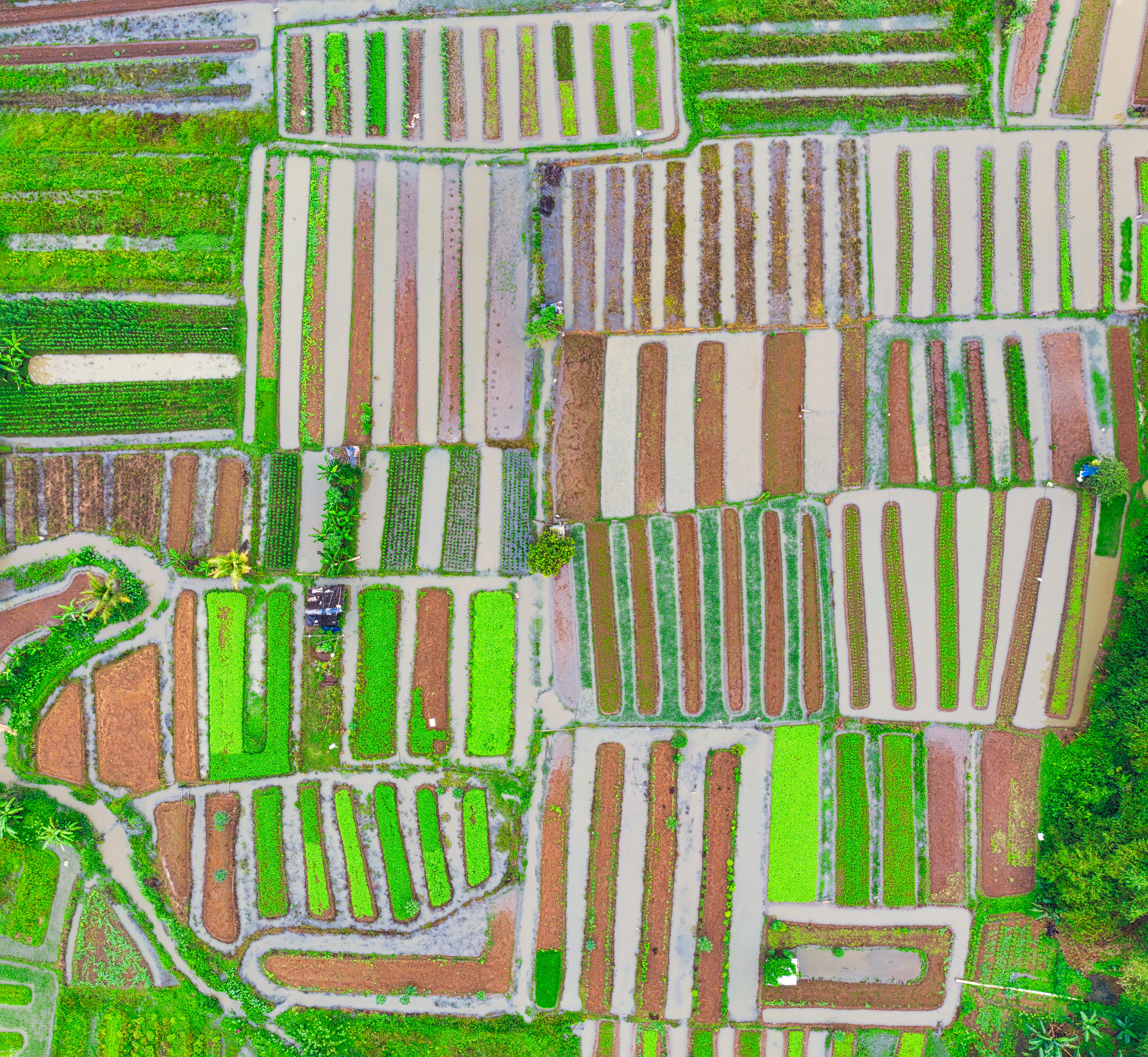 directly above, brick, plant, drawing, agriculture, nature, photography, image, texture, paper, architecture, plantation, rural, day, aerial, urban, retro, HD Wallpaper