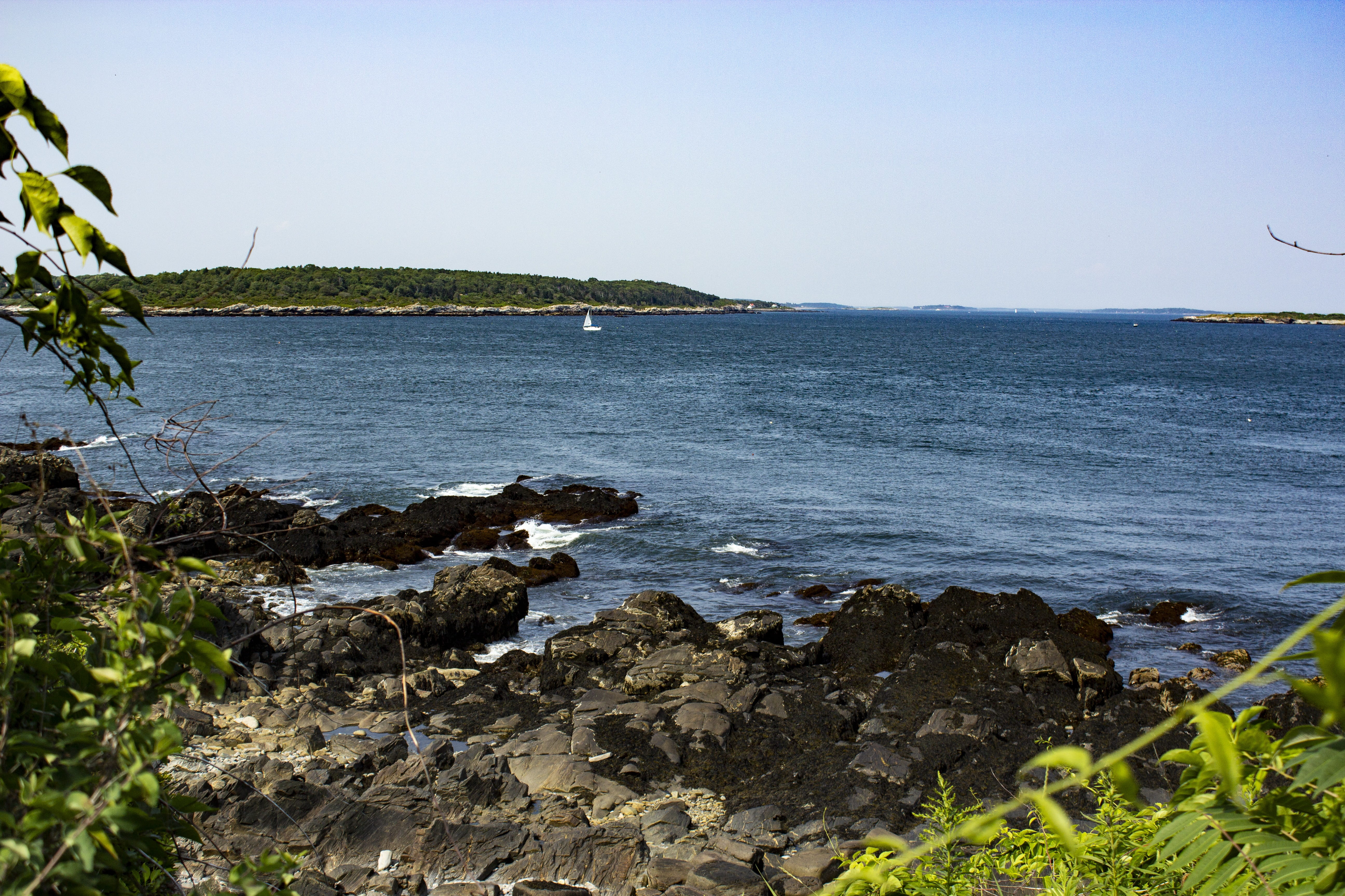 portland, rock, shore, sailboat, scenic, shoreline, water, coast, no people, sea, plant, beauty in nature, atlantic, head, park, rock - object, coastline, HD Wallpaper