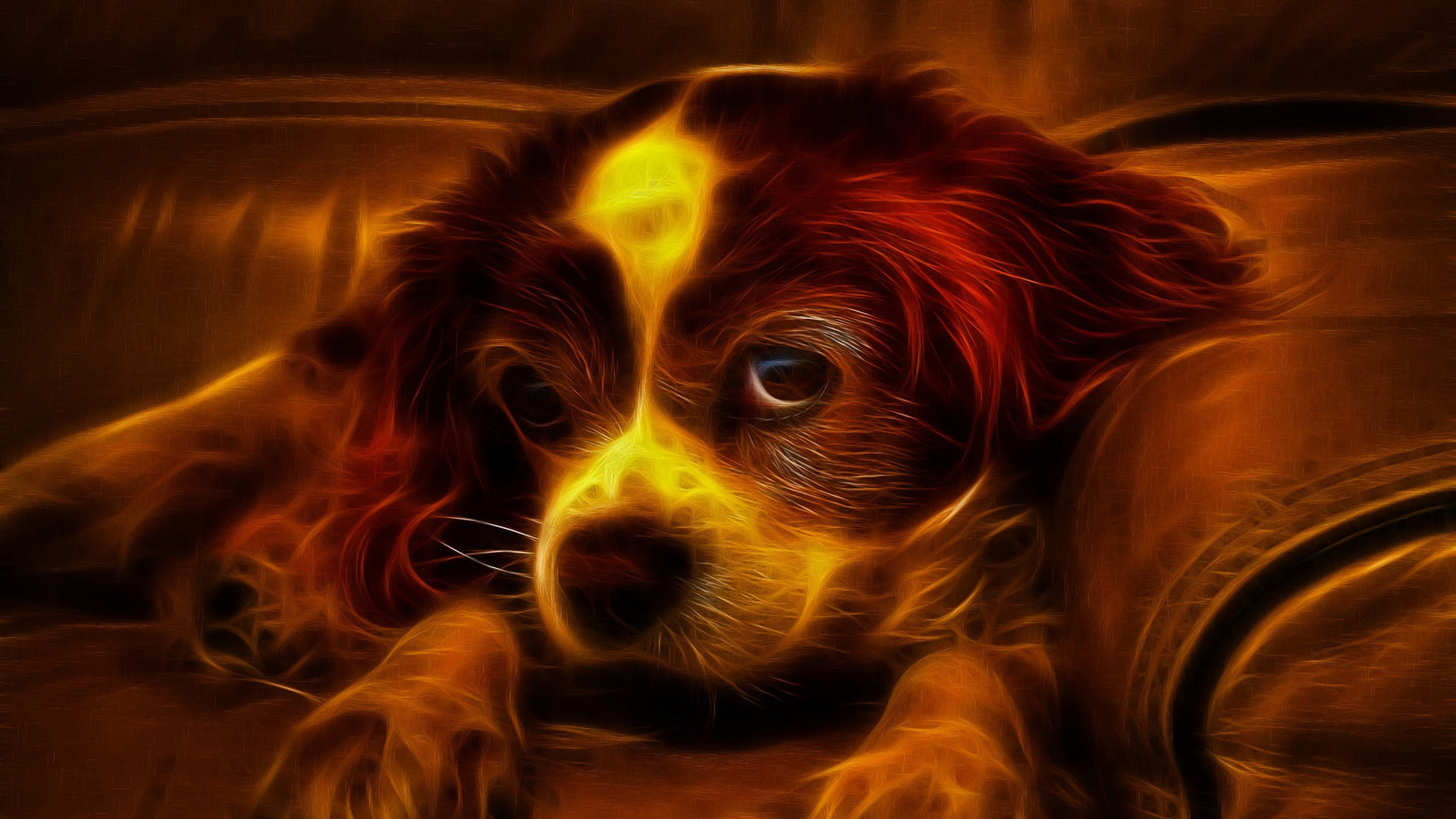 toy spaniel, hunting dog, canine, mammal, animal themes, sofa, relaxation, lap dog, terrier, portrait, 1080P, chihuahua - dog, yorkshire terrier, dog, HD Wallpaper