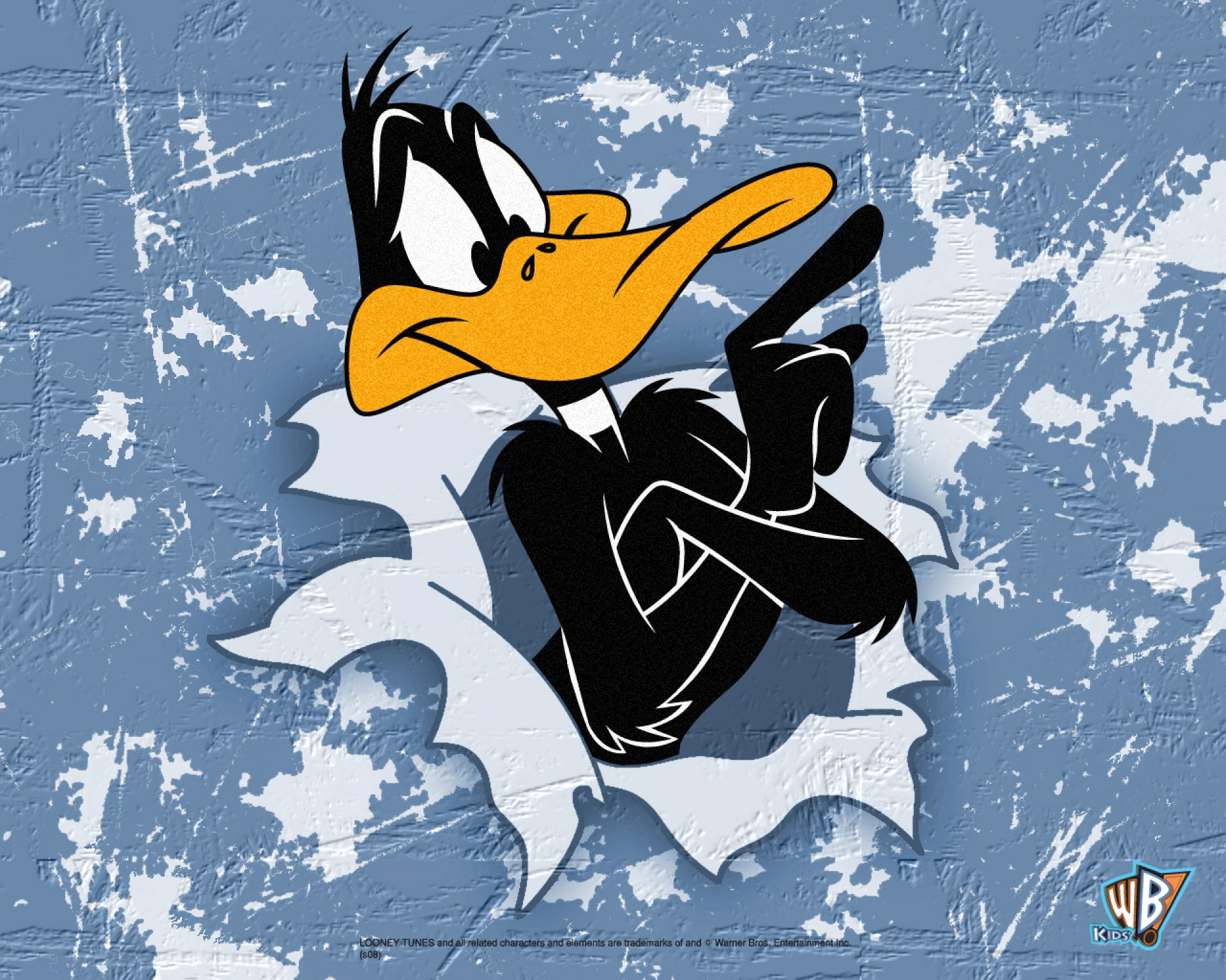 1080P, daffy, toons, looney, HD Wallpaper