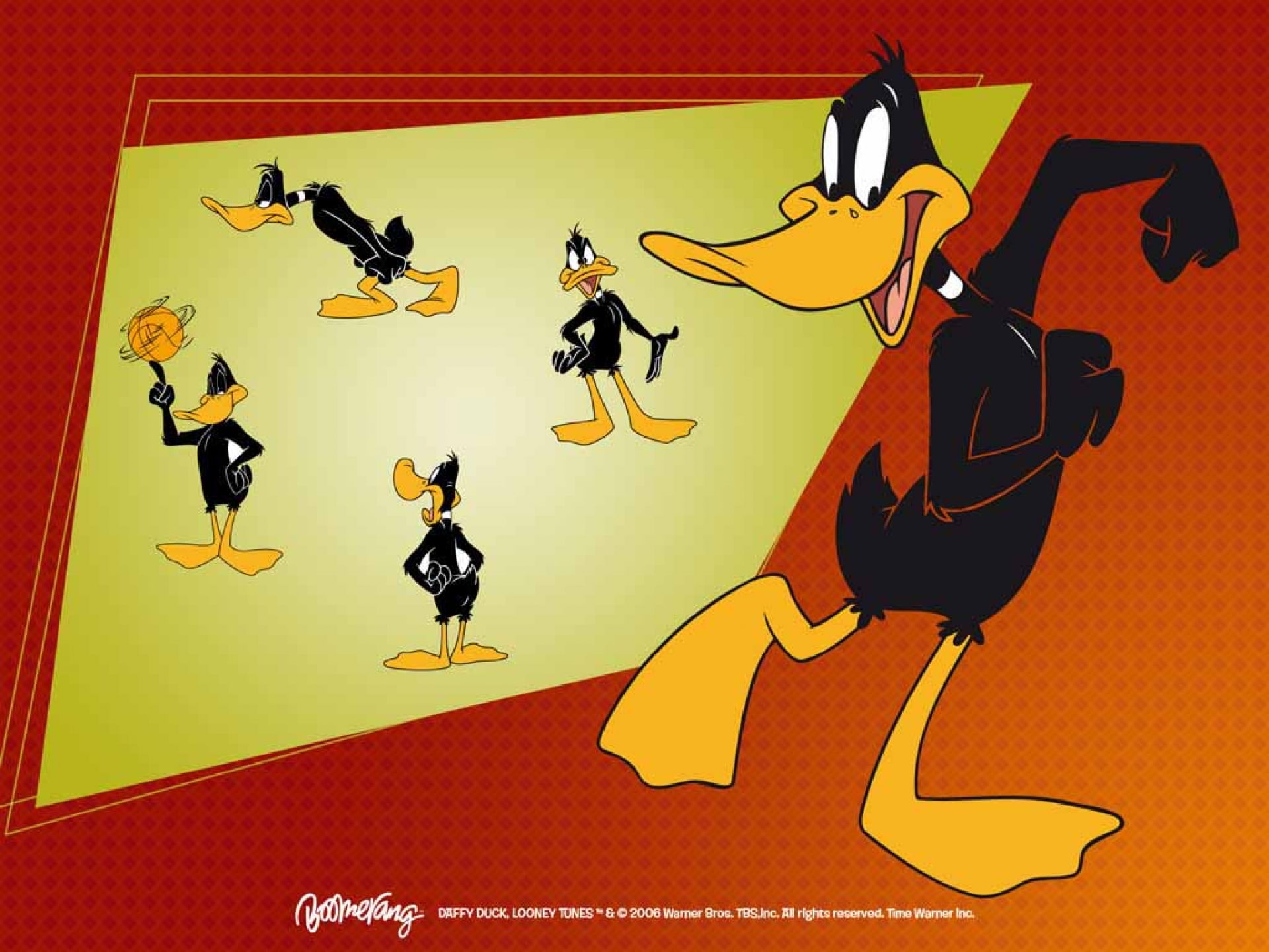 looney, 1080P, toons, daffy, HD Wallpaper