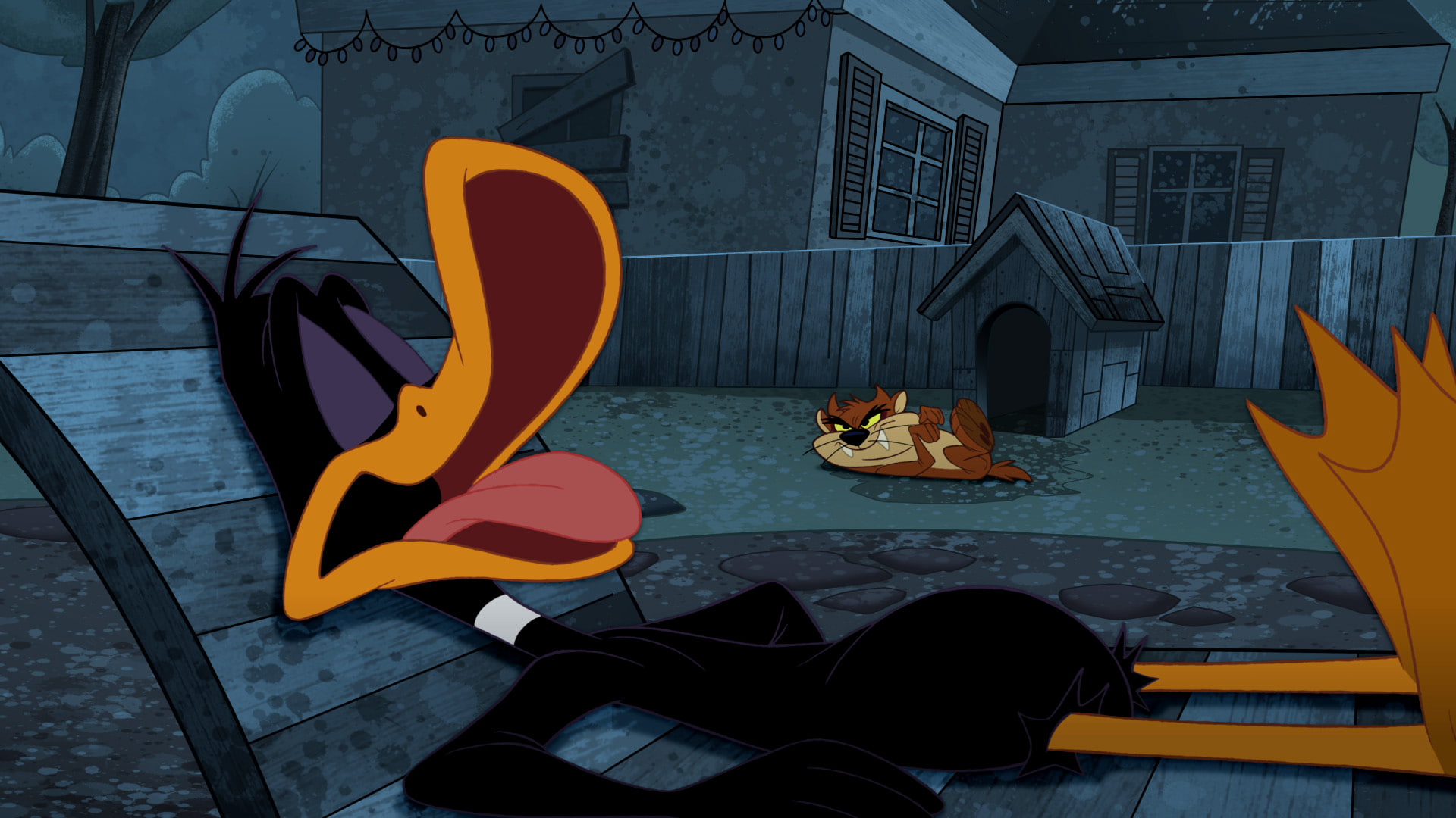 looney, daffy, toons, 1080P, HD Wallpaper