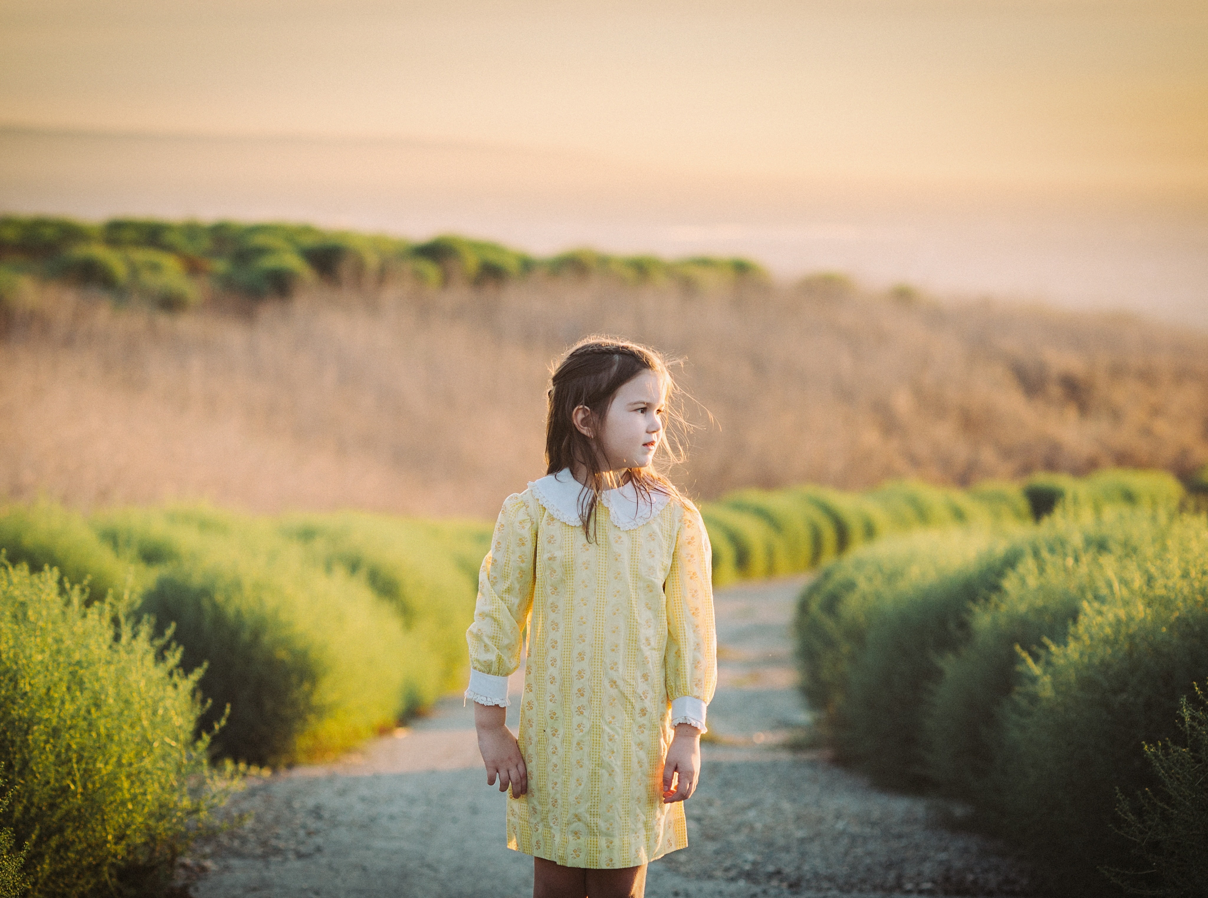 4K, contemplation, Young, three quarter length, Vintage, outdoors, child, Nature, standing, Outdoor, environment, childgirl, dress, field, rural scene, HD Wallpaper