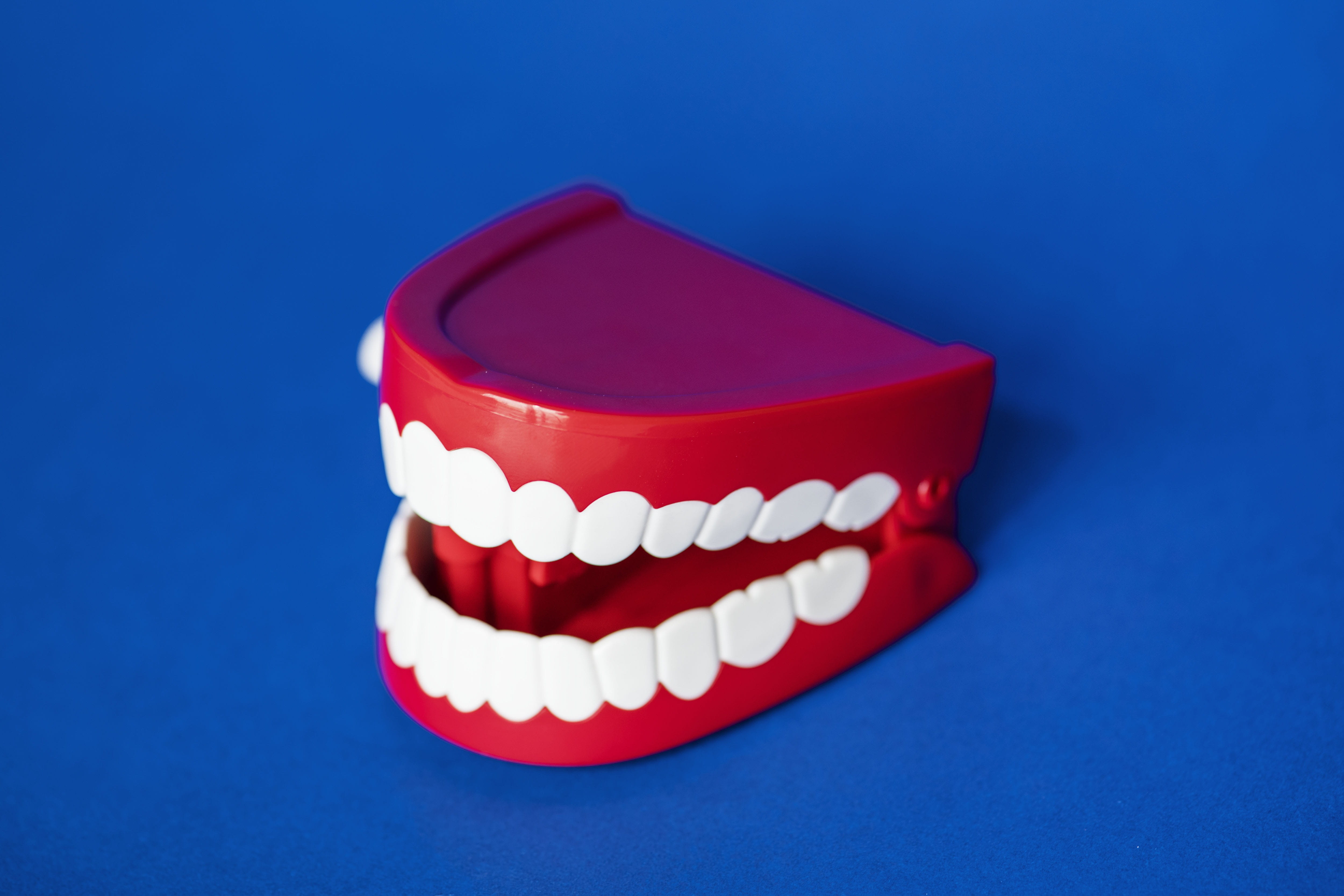 colored background, single object, health, background, dental, care, denture, blue background, healthcare and medicine, colorful, indoors, red, jaw, medicine, HD Wallpaper