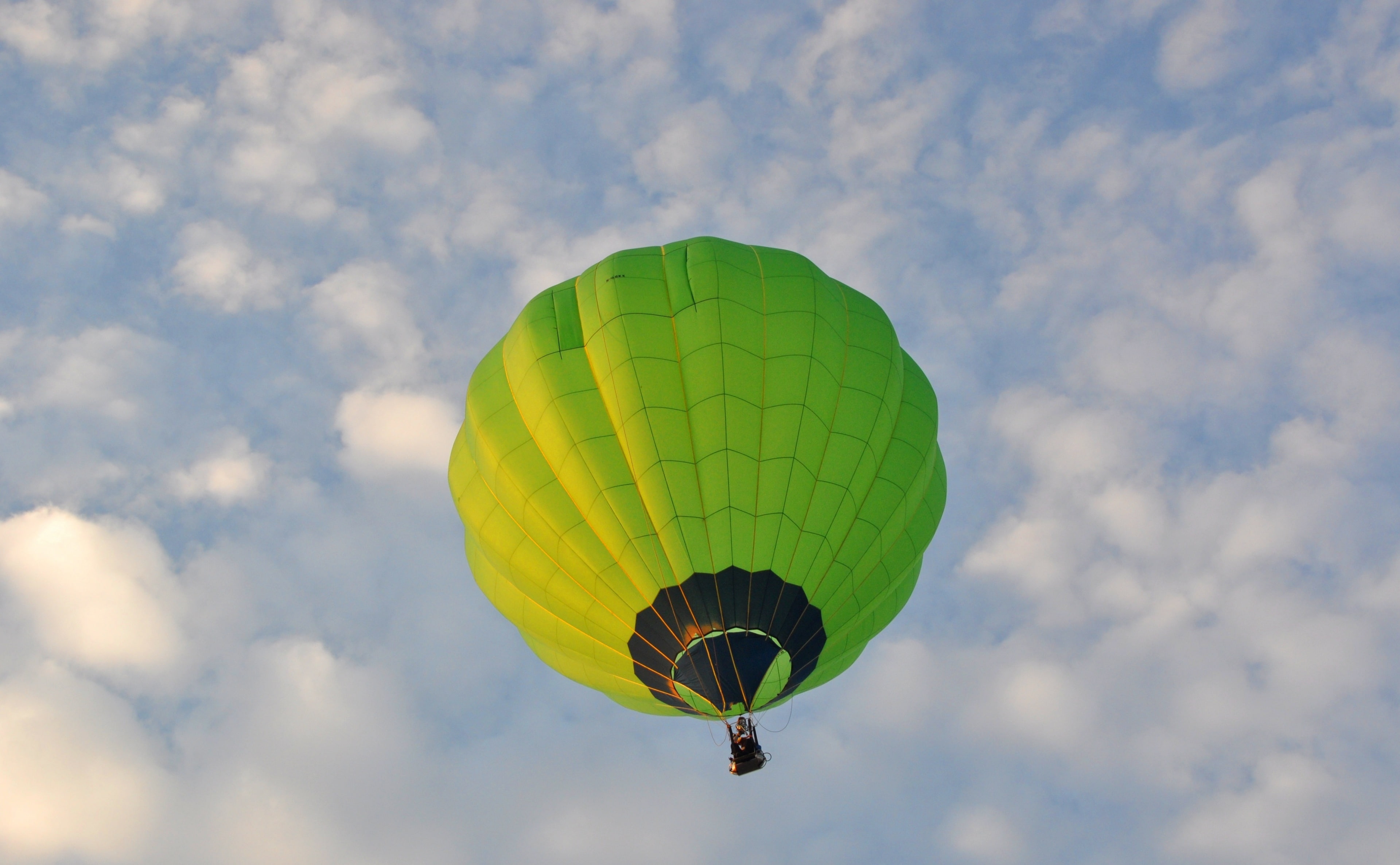 transportation, Morning, parachute, freedom, hot, hudsonvalley, fxb2g, ballooning festival, air vehicle, multi colored, hudsonriver, green color, hot air balloon, HD Wallpaper