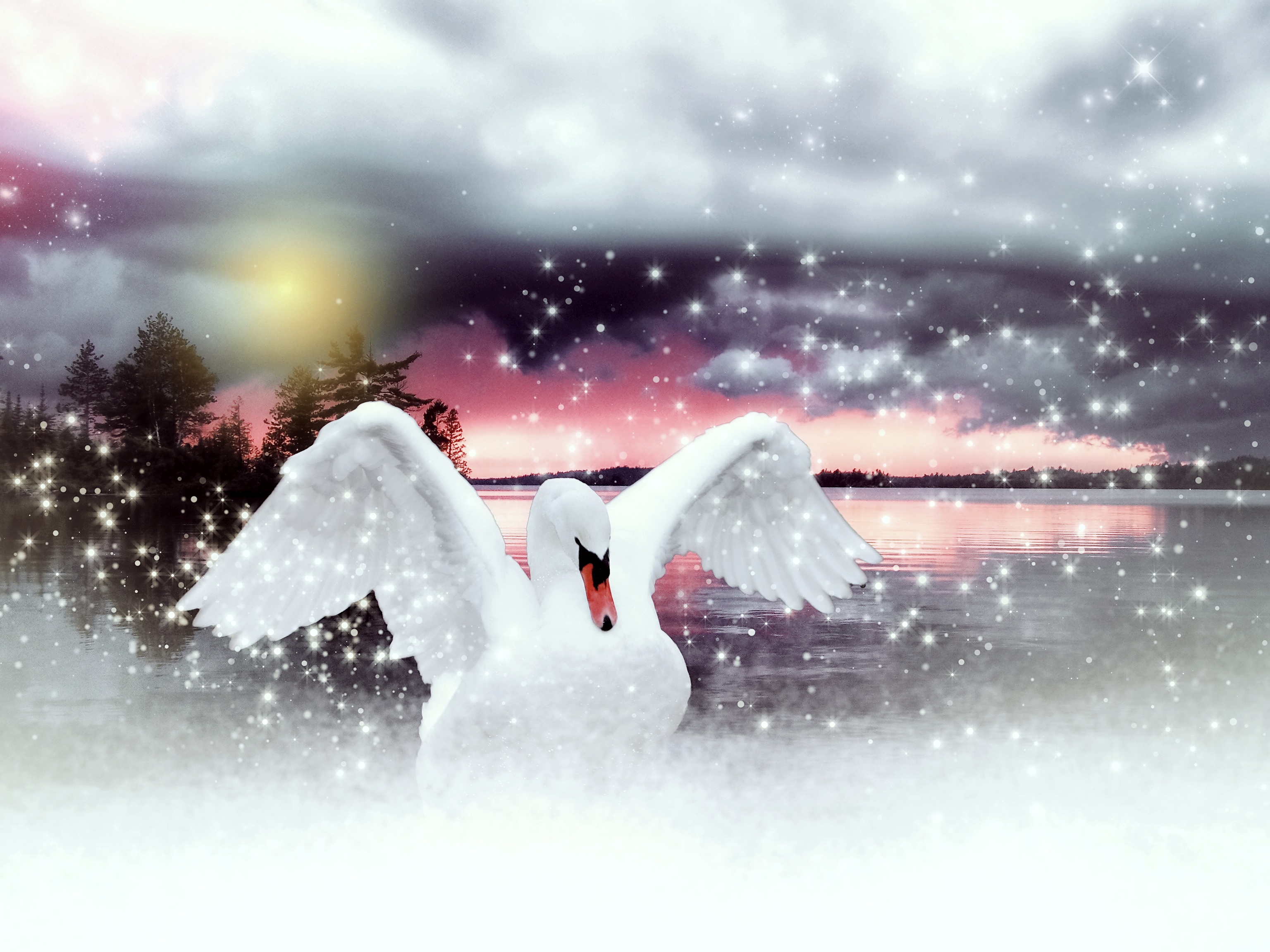 motion, animal wildlife, digital, cloud - sky, sky, flying, animal, outdoors, water, nature, elegant, full length, winter, lake, day, animal themes, HD Wallpaper