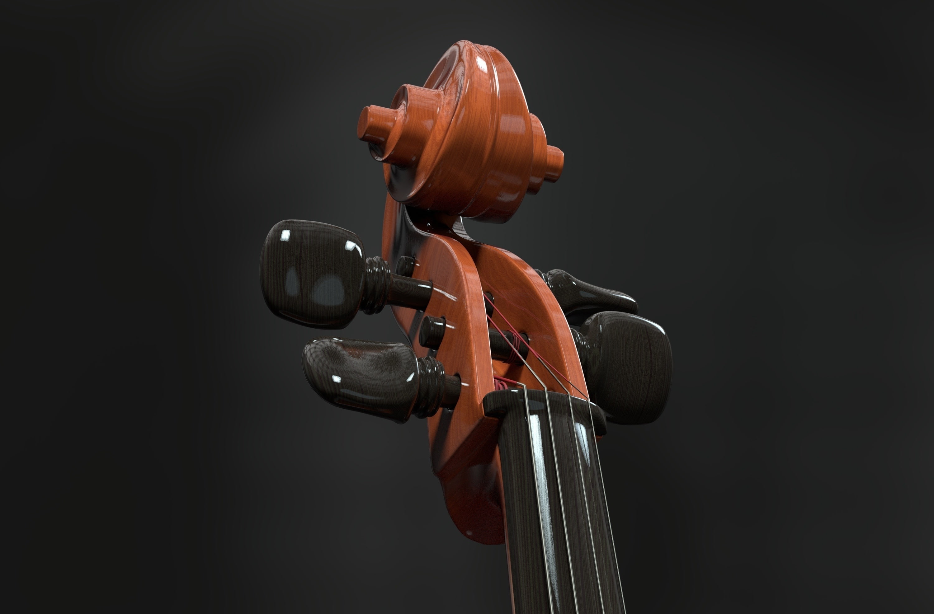 Snail, Acoustic, technology, pegbox, studio shot, equipment, black background, instrument, black color, copy space, string instrument, classicalmusic, soundbody, HD Wallpaper