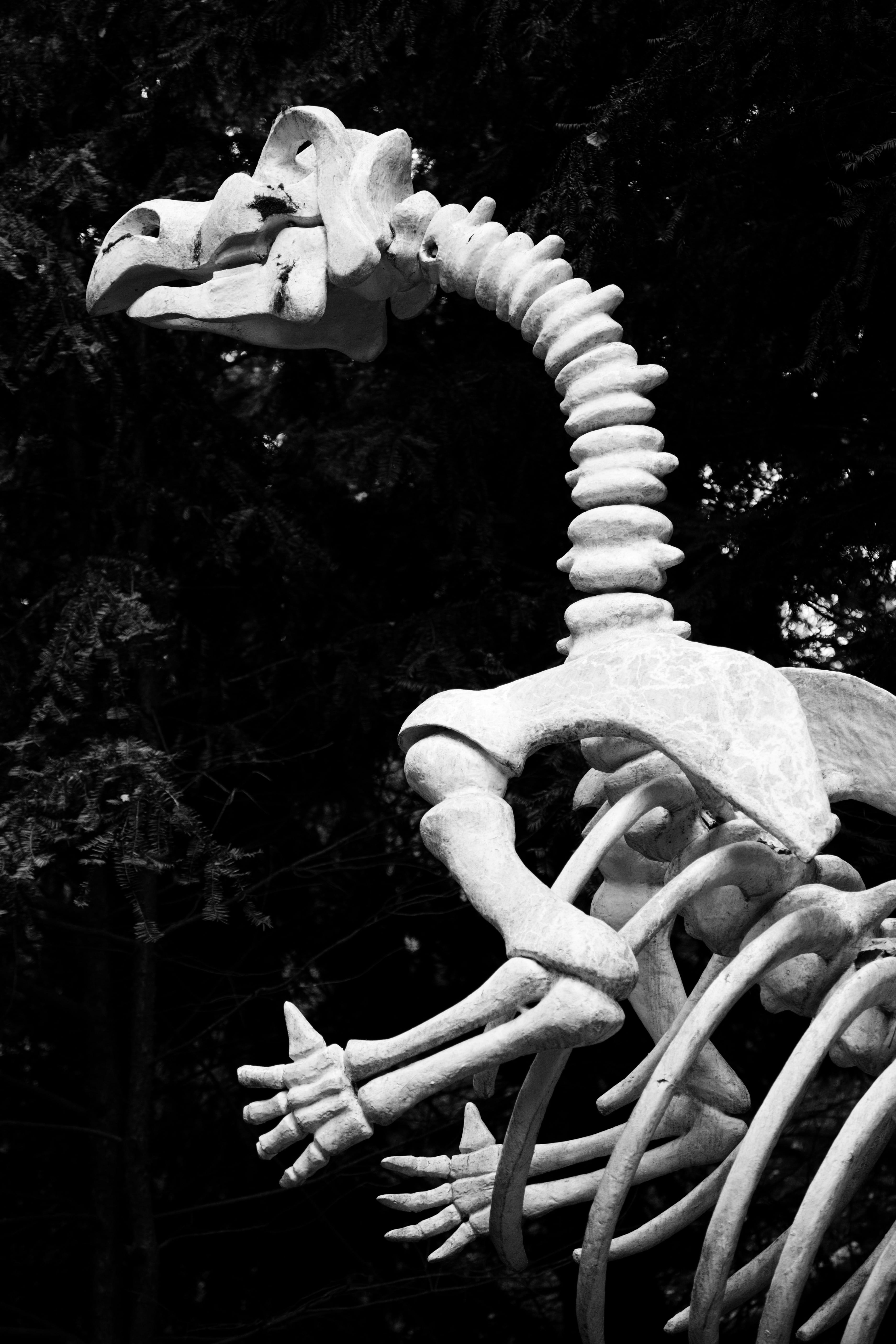 extinct, full length, animal representation, prehistoric, animal themes, belief, representation, dino, architecture, plant, nature, spirituality, sculpture, Phone HD Wallpaper