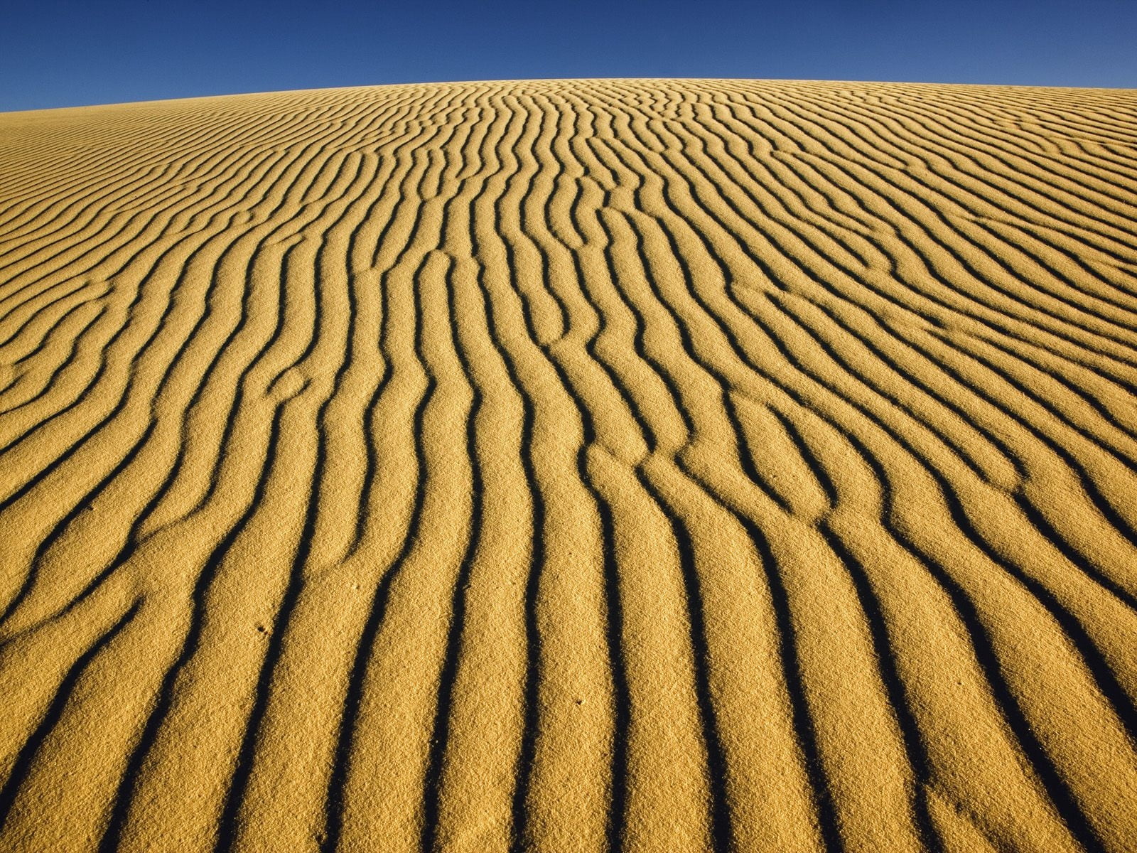 beauty in nature, natural Pattern, day, sand Dune, no People, climate, backgrounds, scenics - nature, land, rippled, lines, 720P, extreme Terrain, brown, HD Wallpaper