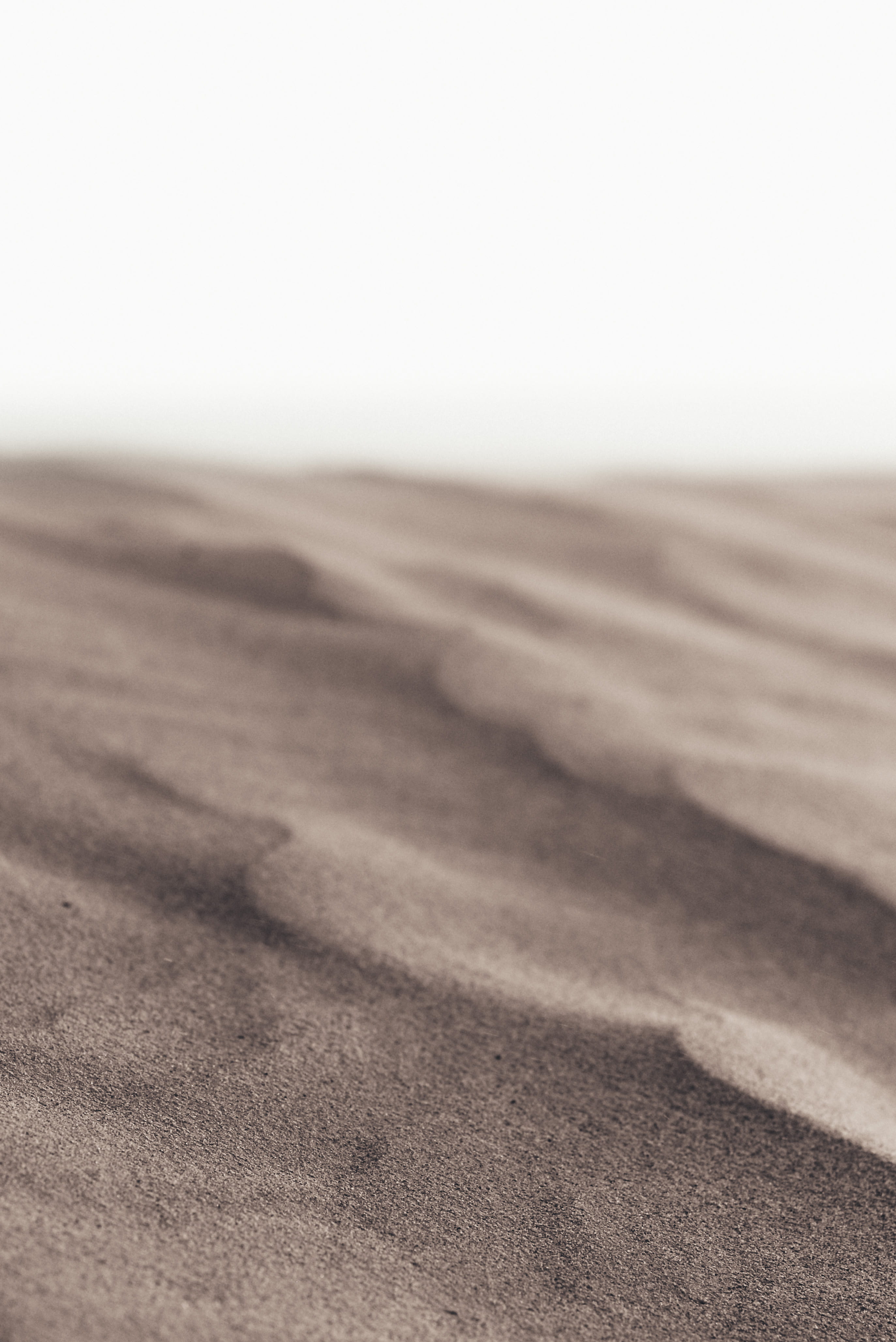 hot, daytime, dune, untitled, 4K, grain, arid climate, land, beach, day, sandy, tranquility, no people, scenics - nature, copy space, sky, sand dune, Phone HD Wallpaper