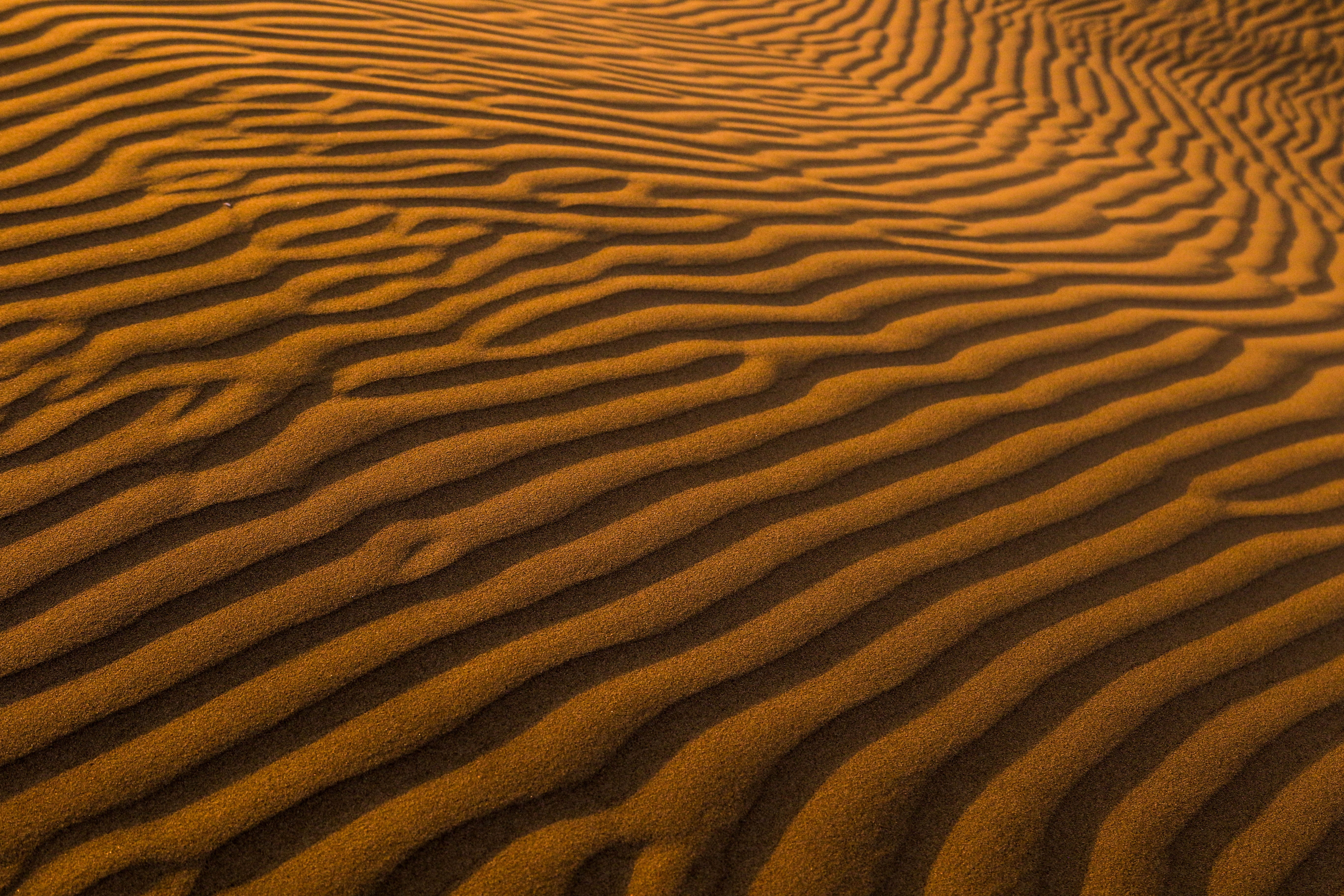 rippled, arid Climate, desert, full frame, backgrounds, high angle view, africa, textured Effect, wave Pattern, tranquil scene, scenics - nature, textured, HD Wallpaper