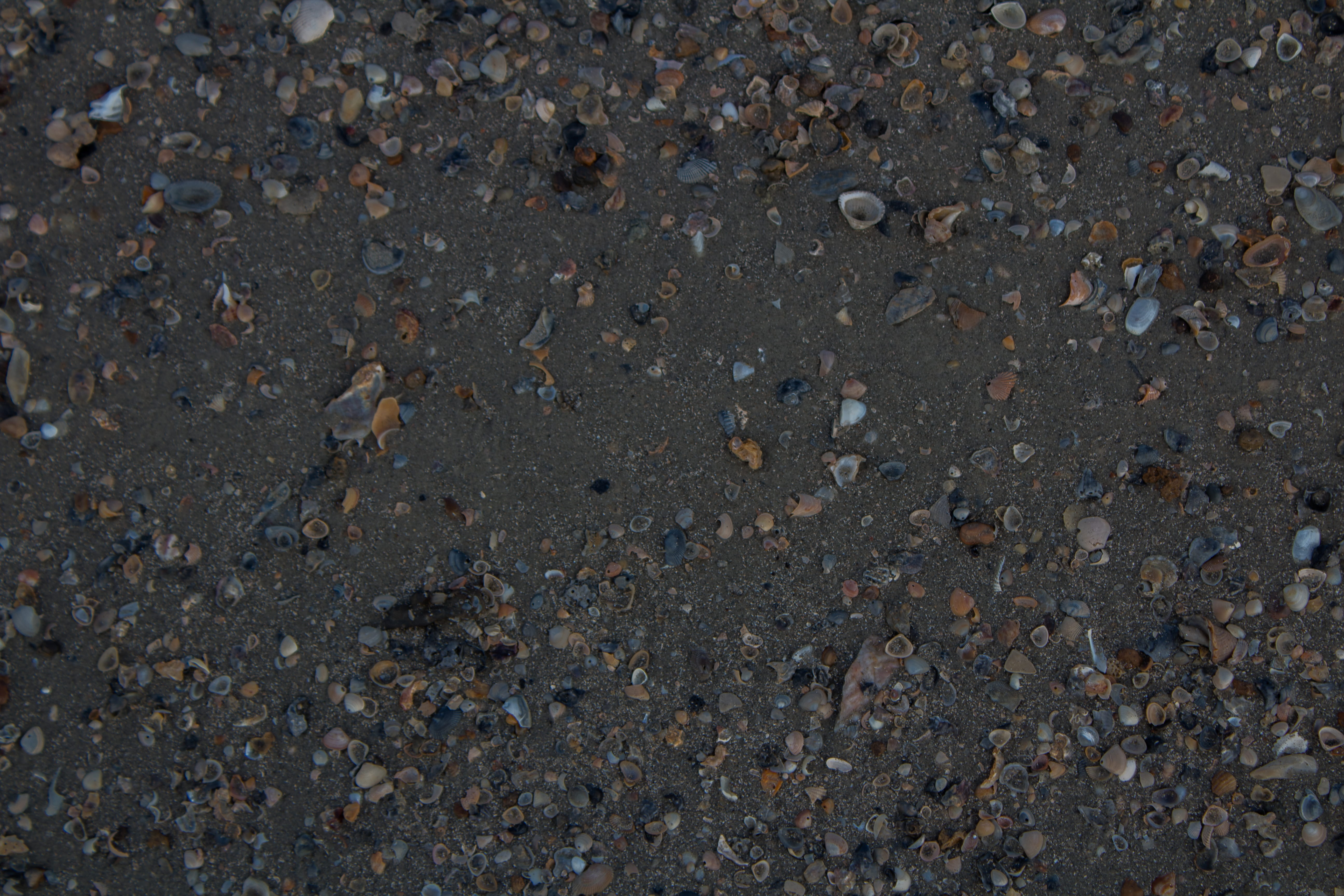 brown, sandy, shine, road, beaching, orange, july, dirt, textured, high angle view, gray, shells, directly above, warm, yellow, pattern, textured effect, HD Wallpaper