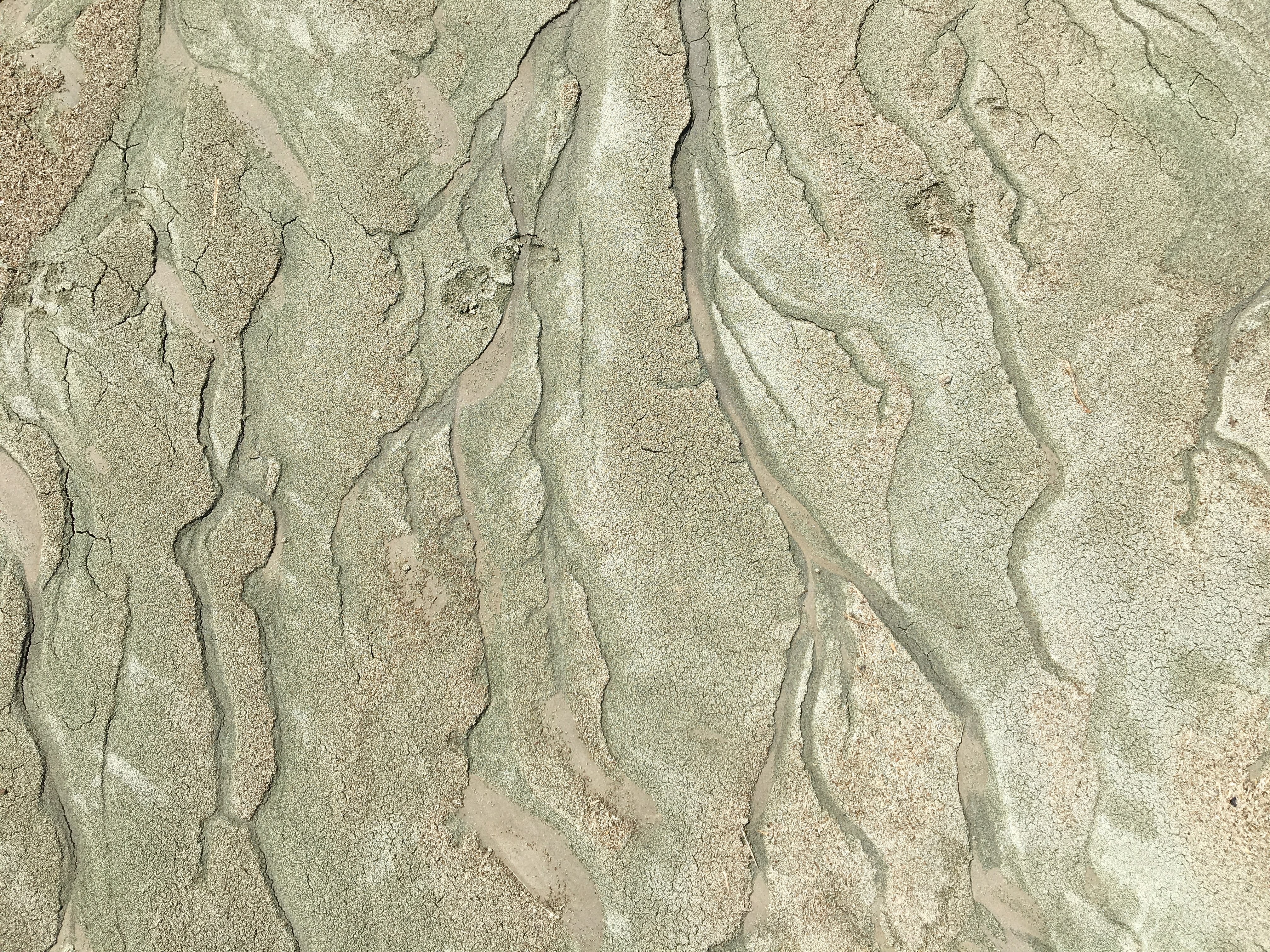wood - material, natural pattern, abstract, coast, old, architecture, nature, no people, tree, built structure, dry, dirt, imprint, branches, beach, natural, HD Wallpaper