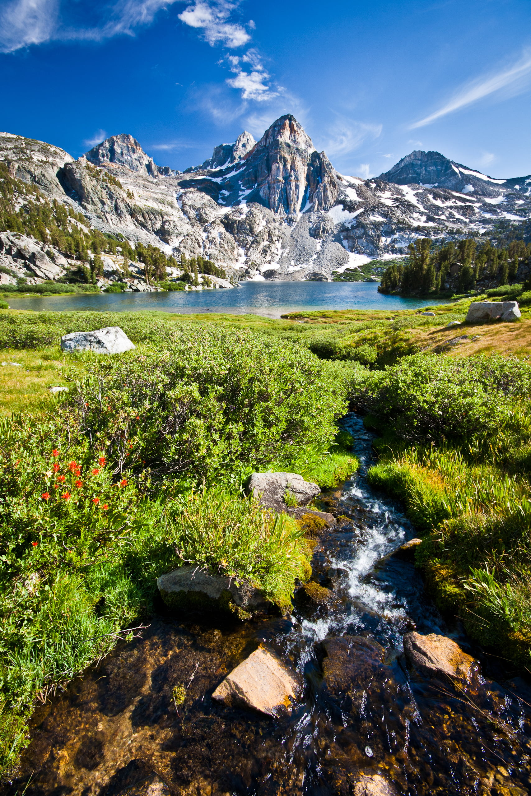 daytime, lady  lake, flowers, rock - Object, photo, water, Rae Lakes, outdoors, near, 2K, snow, river, indian paint, nature, lake  river, california, landscape, Phone HD Wallpaper